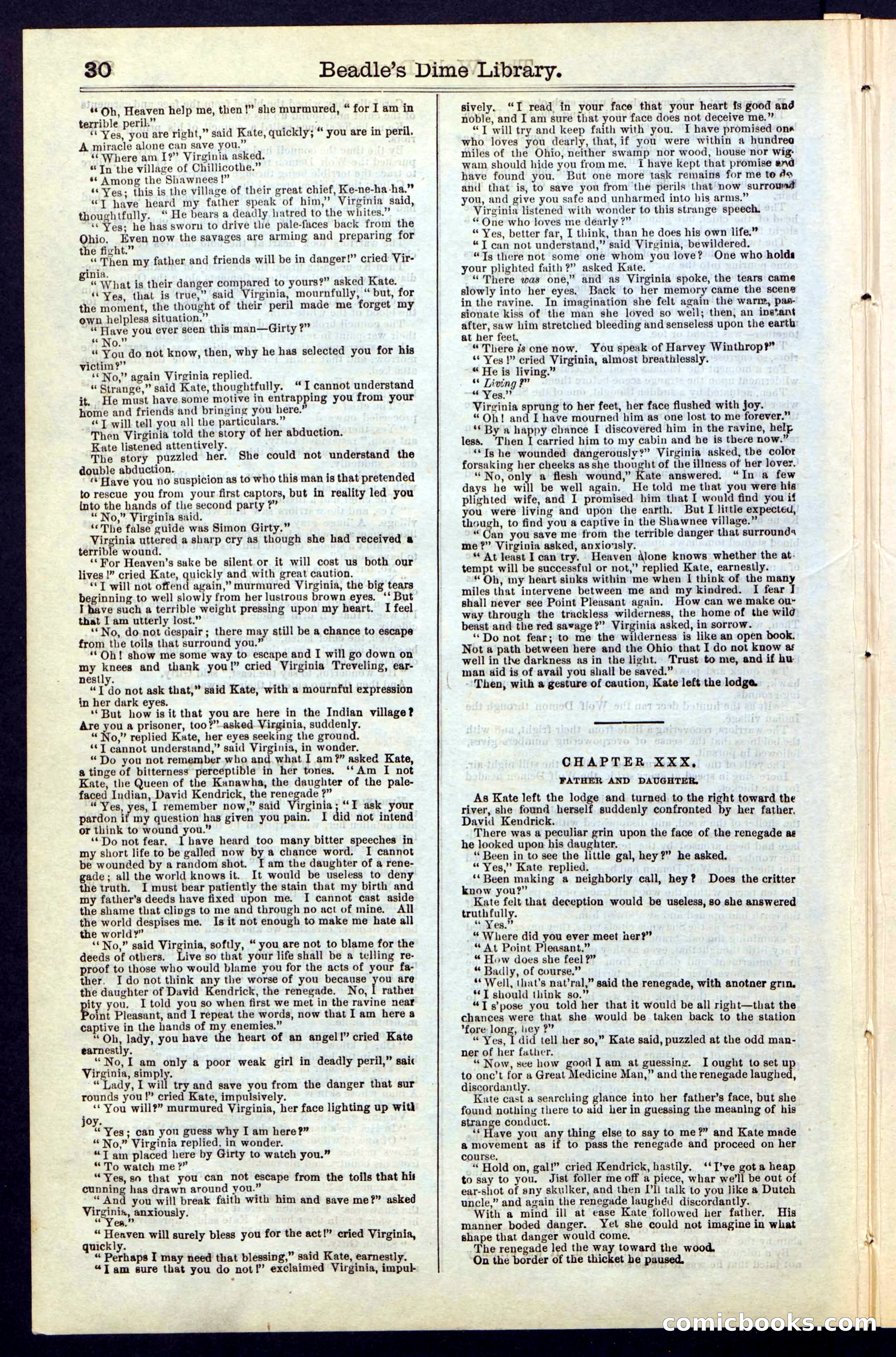 Beadle's New York Dime Library, No. 49 — page 30 of 48