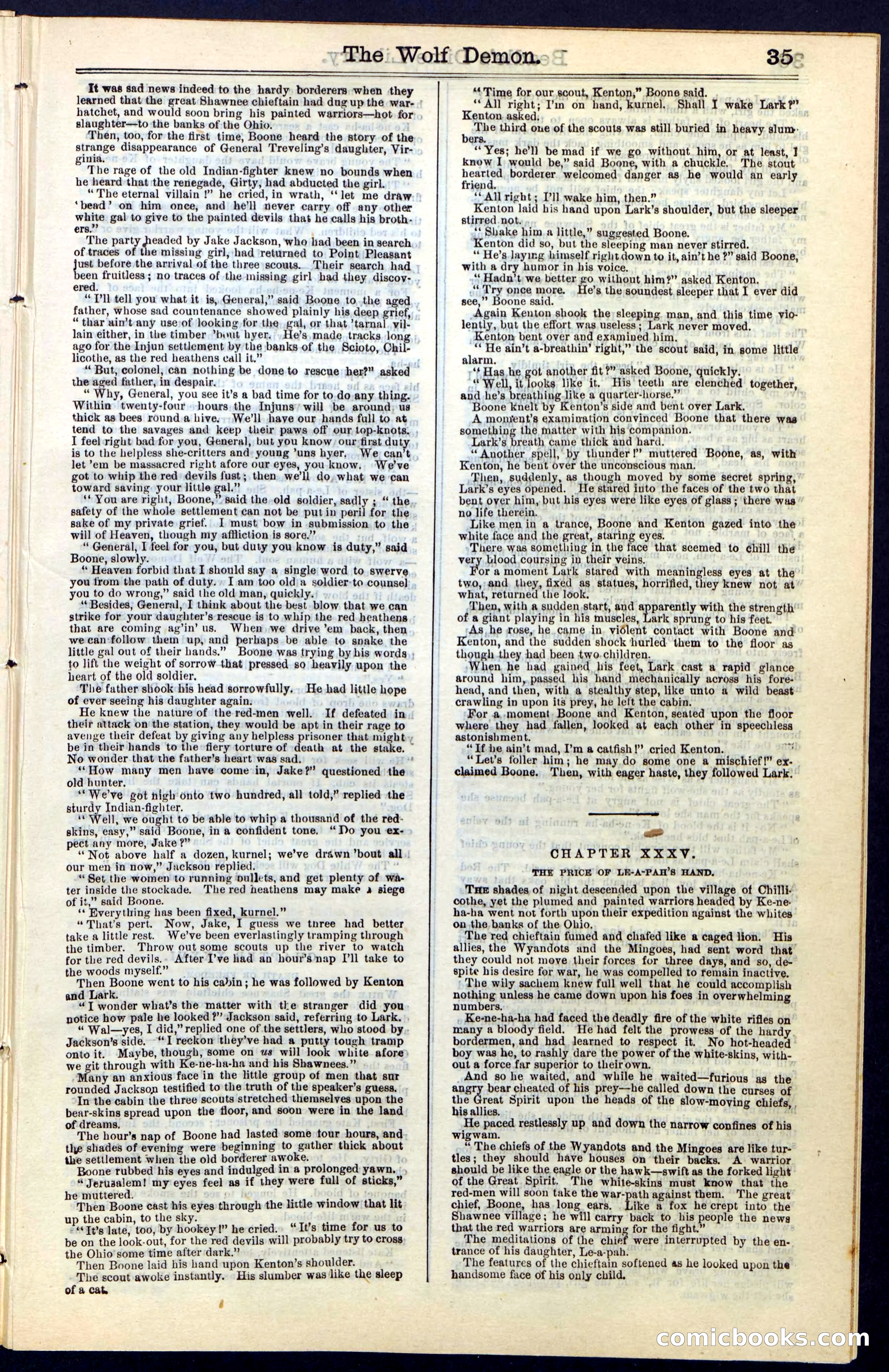 Beadle's New York Dime Library, No. 49 — page 35 of 48