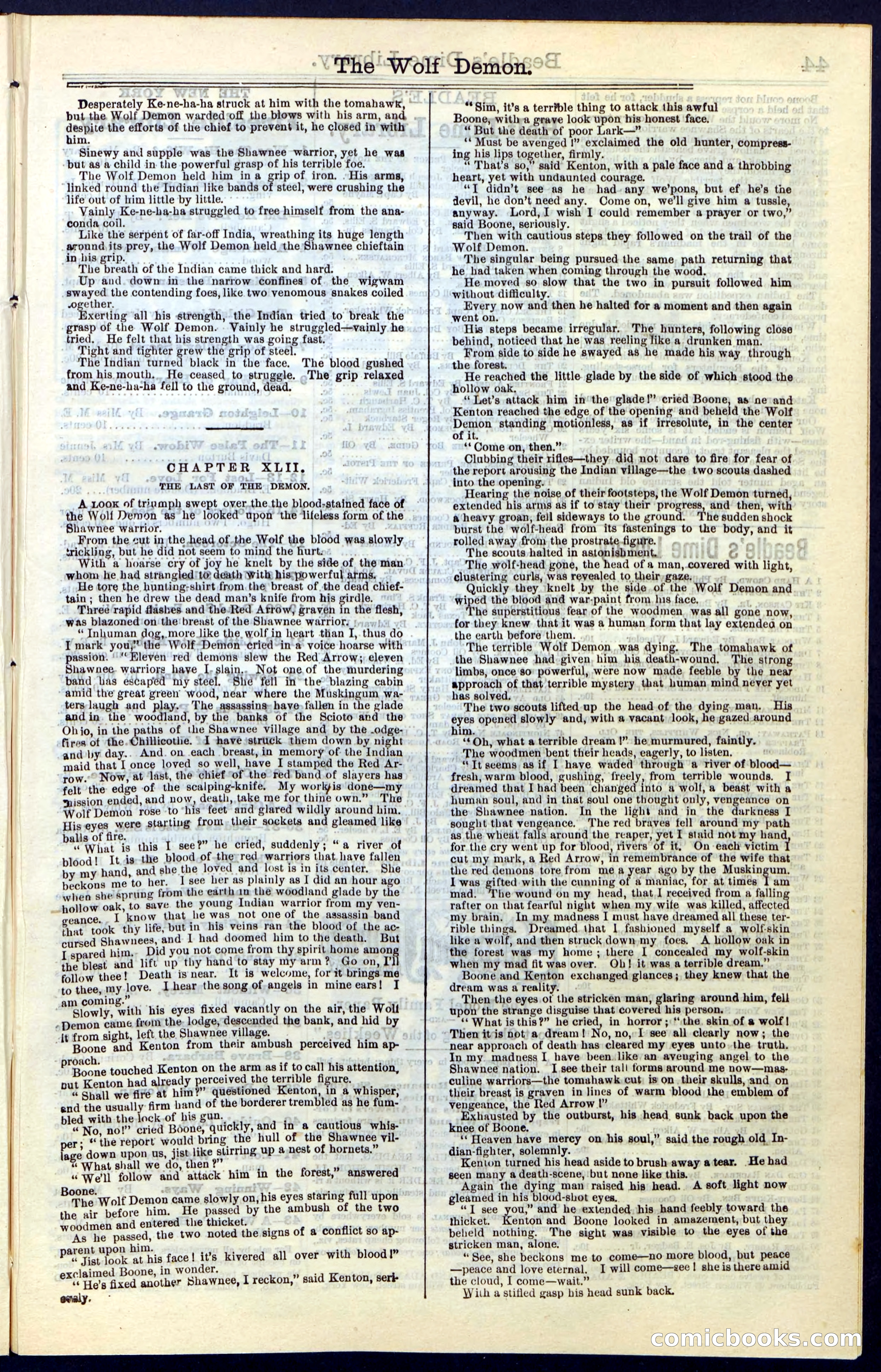 Beadle's New York Dime Library, No. 49 — page 43 of 48