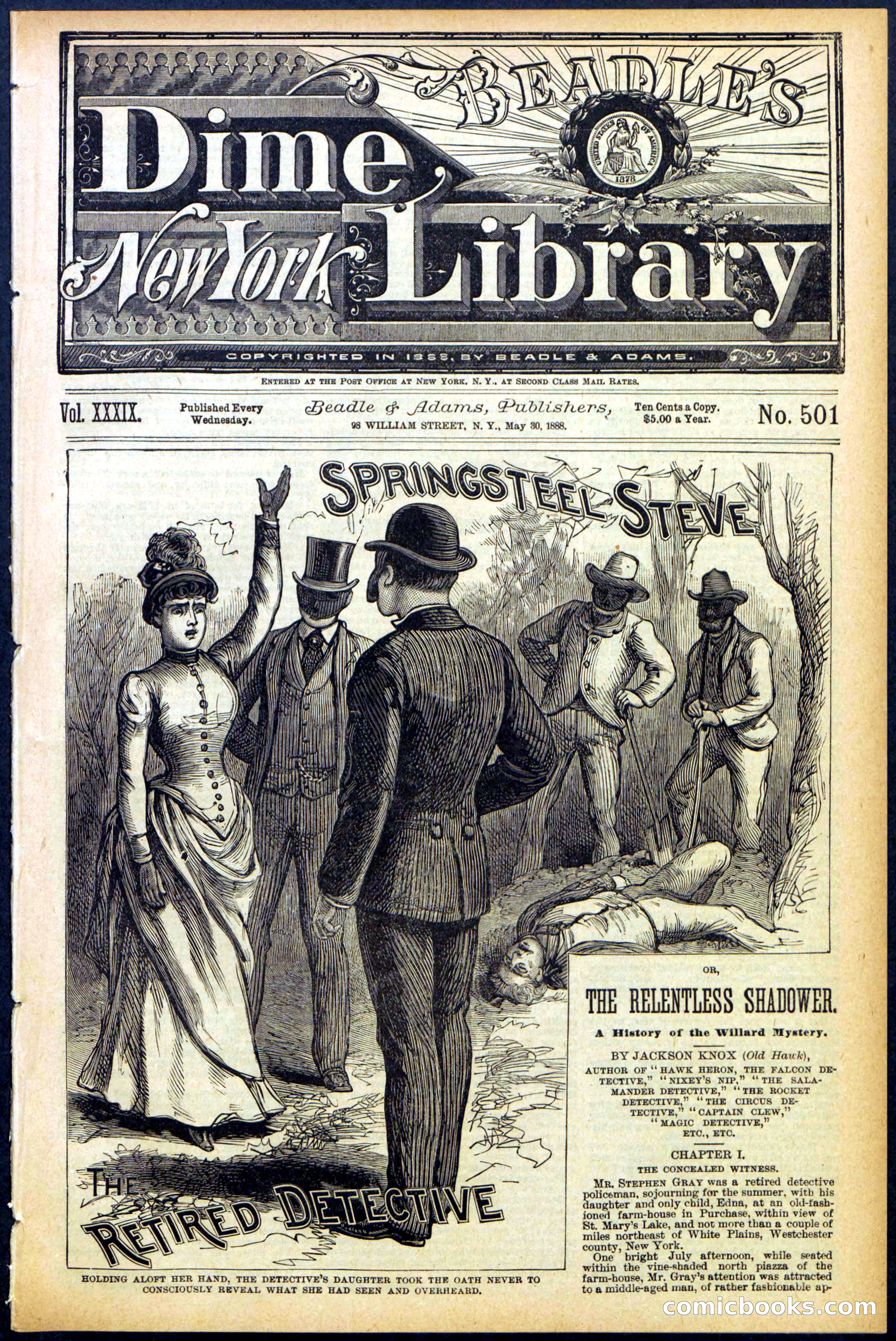 Beadle's New York Dime Library No. 501 — page 1 of 32