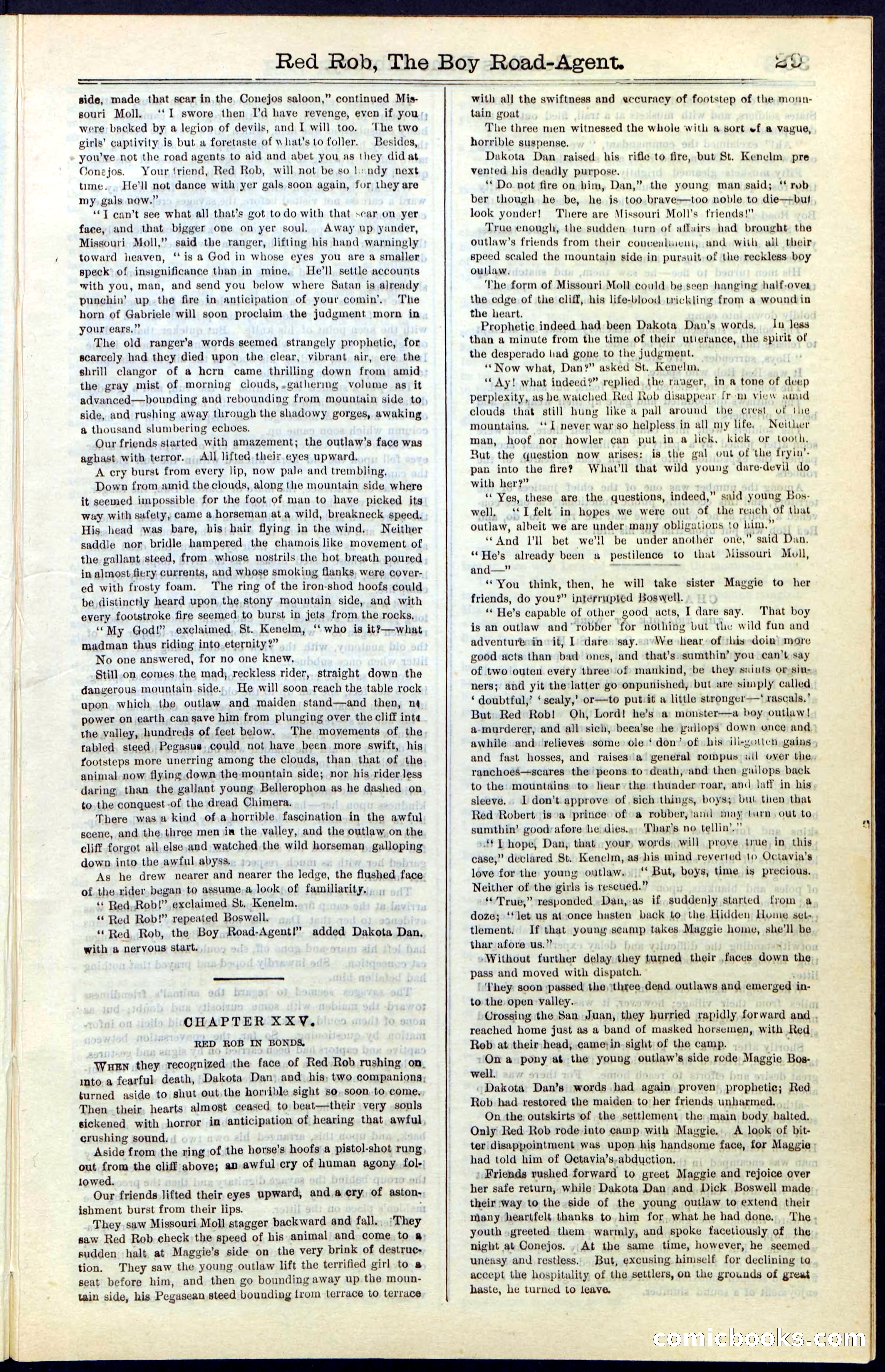 Beadle's Dime Library No. 51: Red Rob, The Boy Road-Agent — page 29 of 44