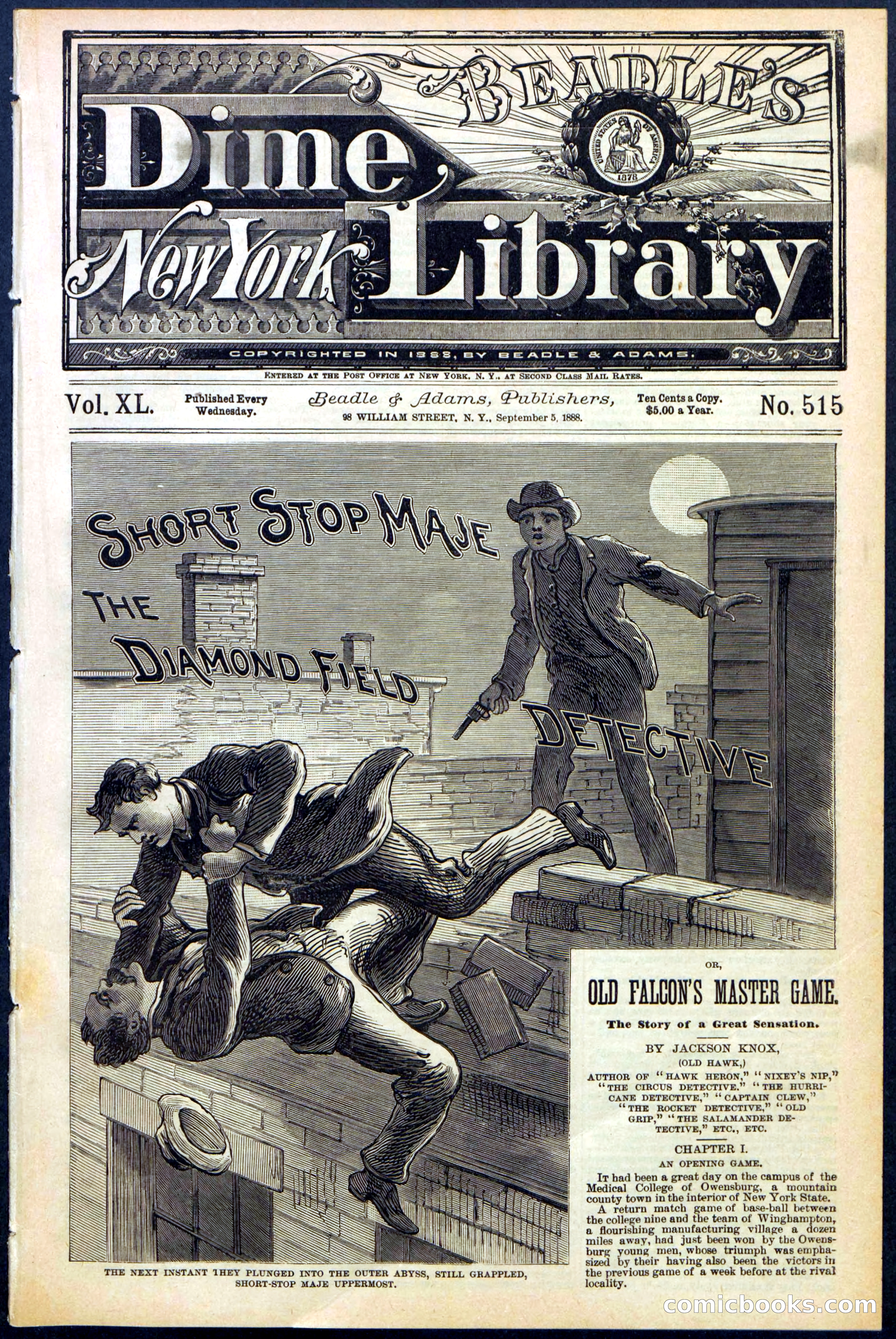 Beadle's New York Dime Library No. 515 — page 1 of 32