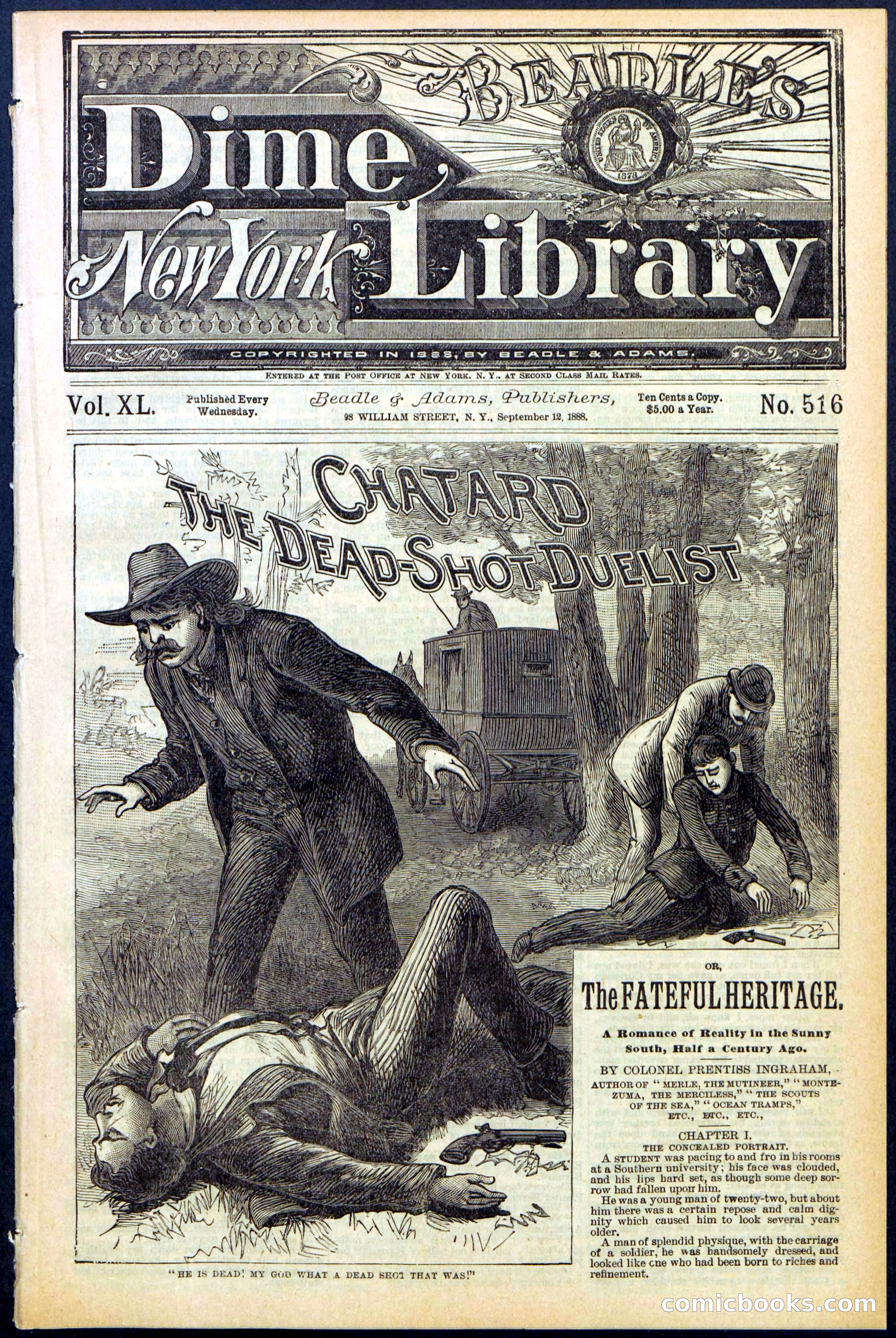 Beadle's New York Dime Library No. 516 — page 1 of 32