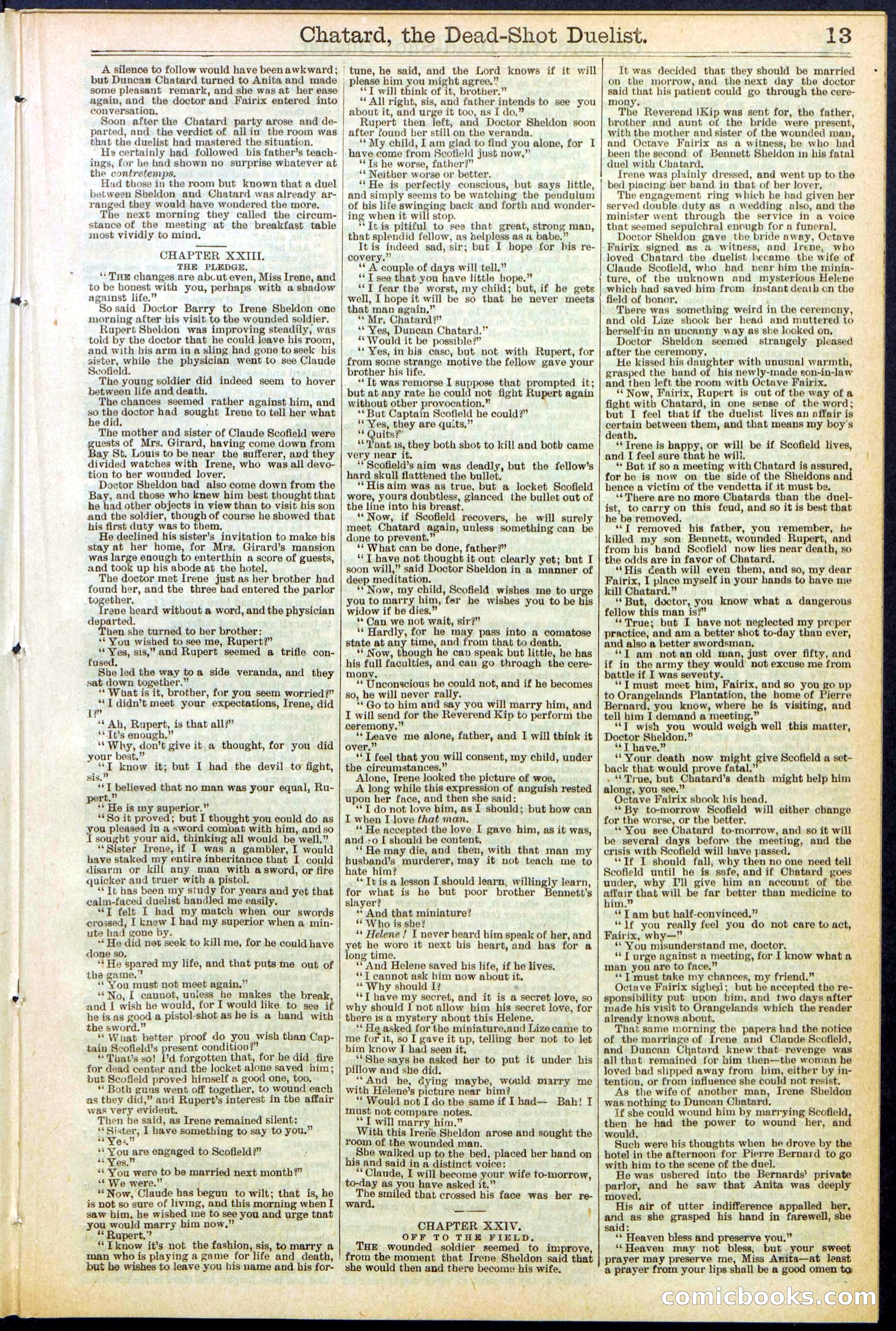 Beadle's New York Dime Library No. 516 — page 13 of 32