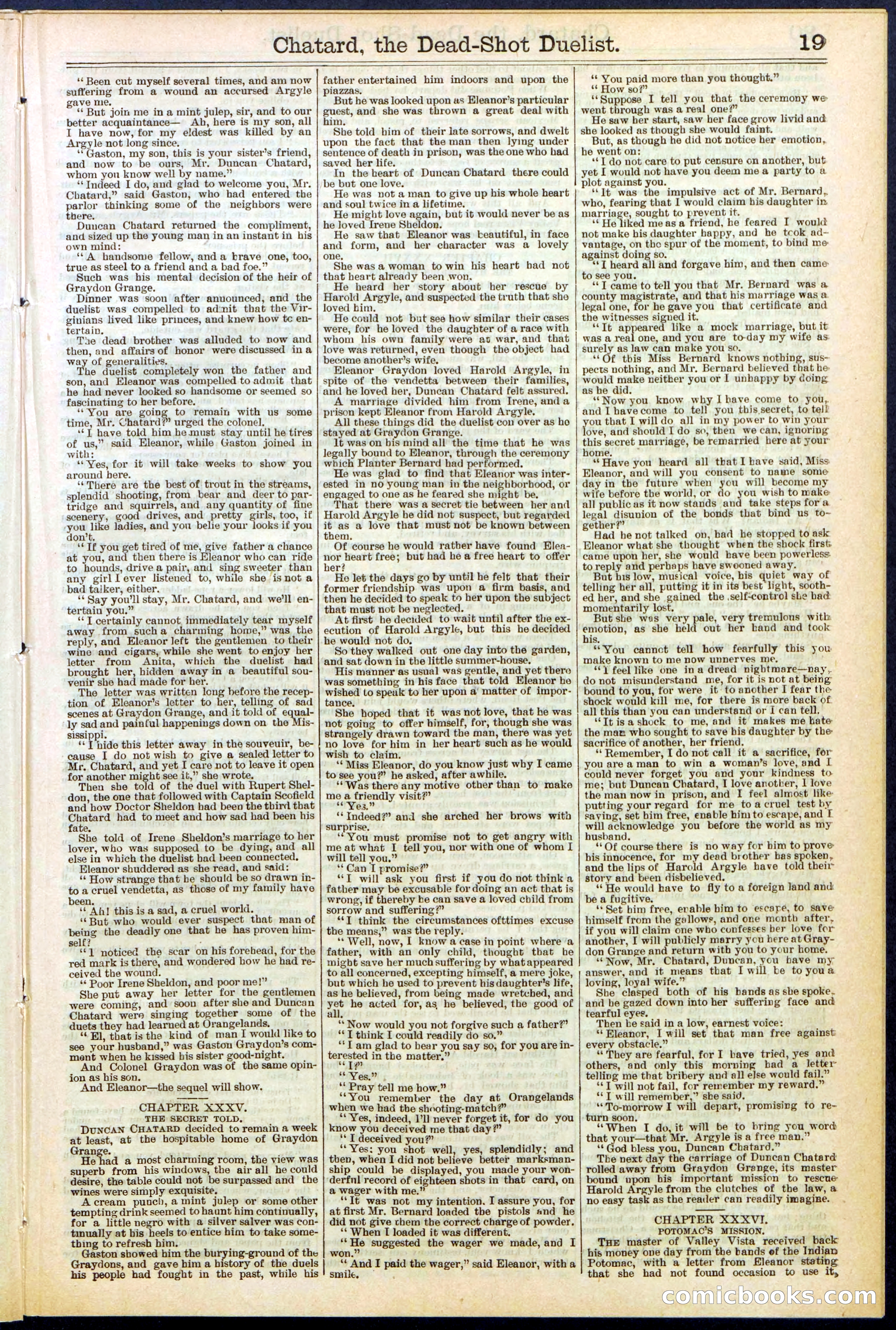 Beadle's New York Dime Library No. 516 — page 19 of 32