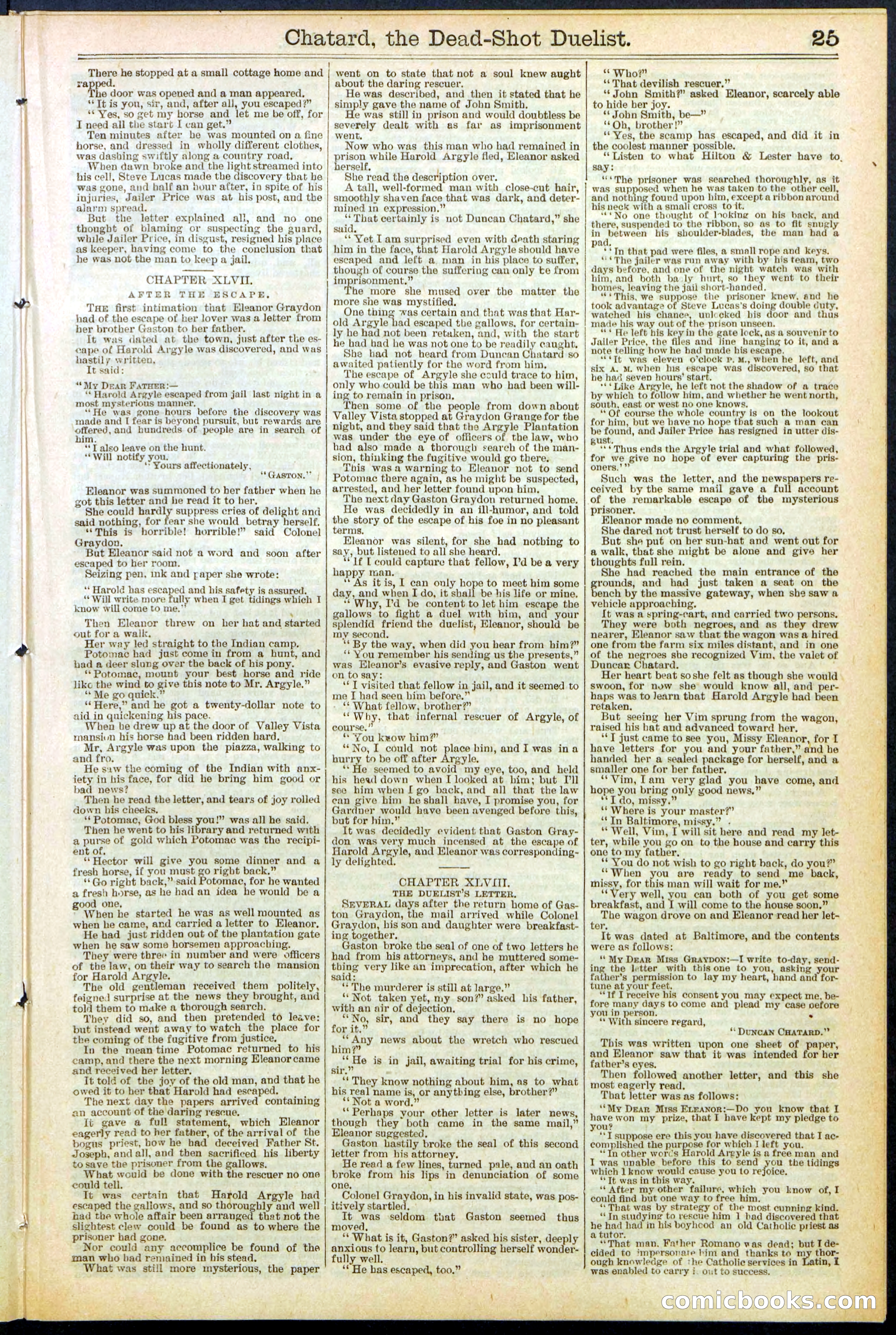 Beadle's New York Dime Library No. 516 — page 25 of 32