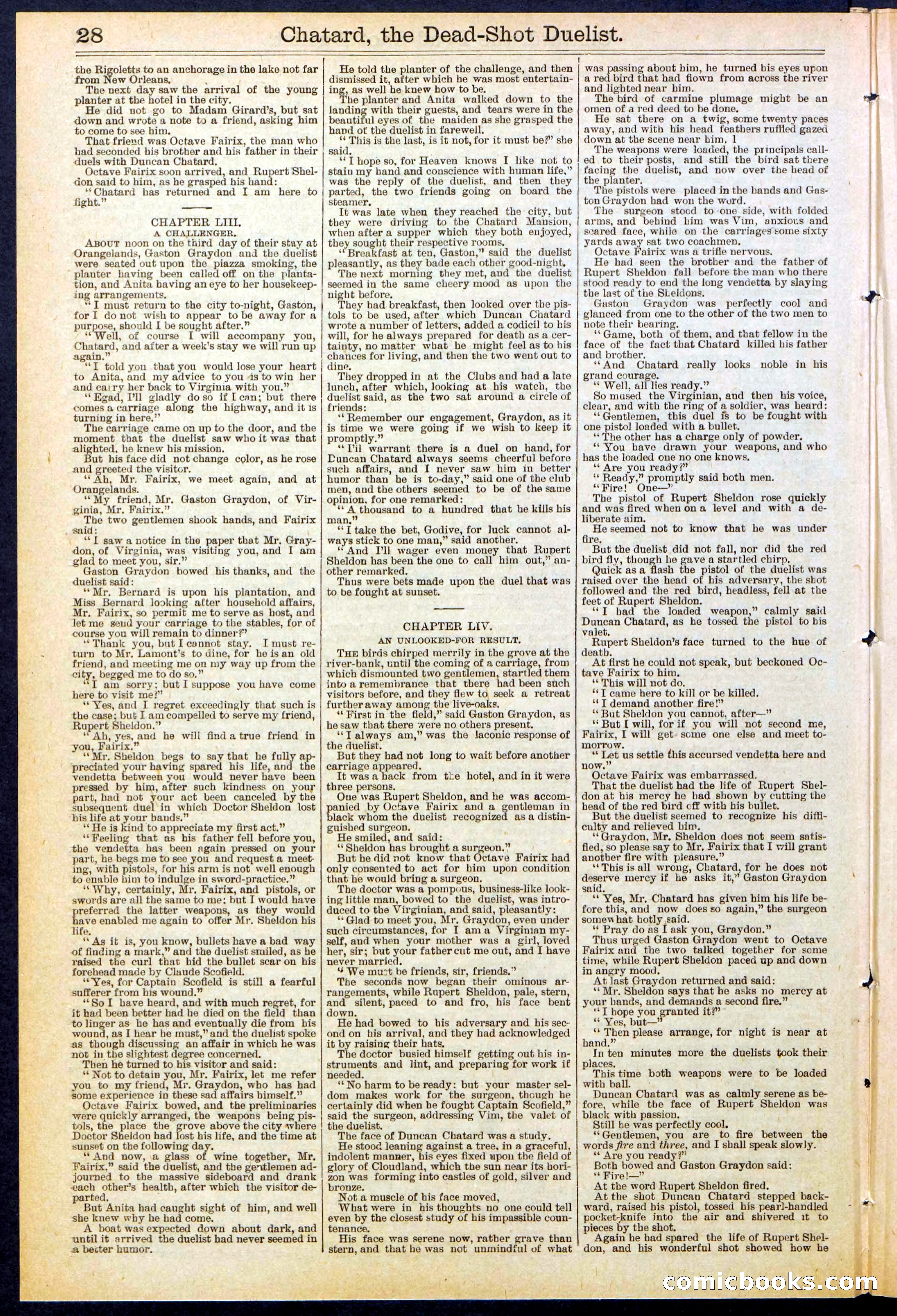 Beadle's New York Dime Library No. 516 — page 28 of 32
