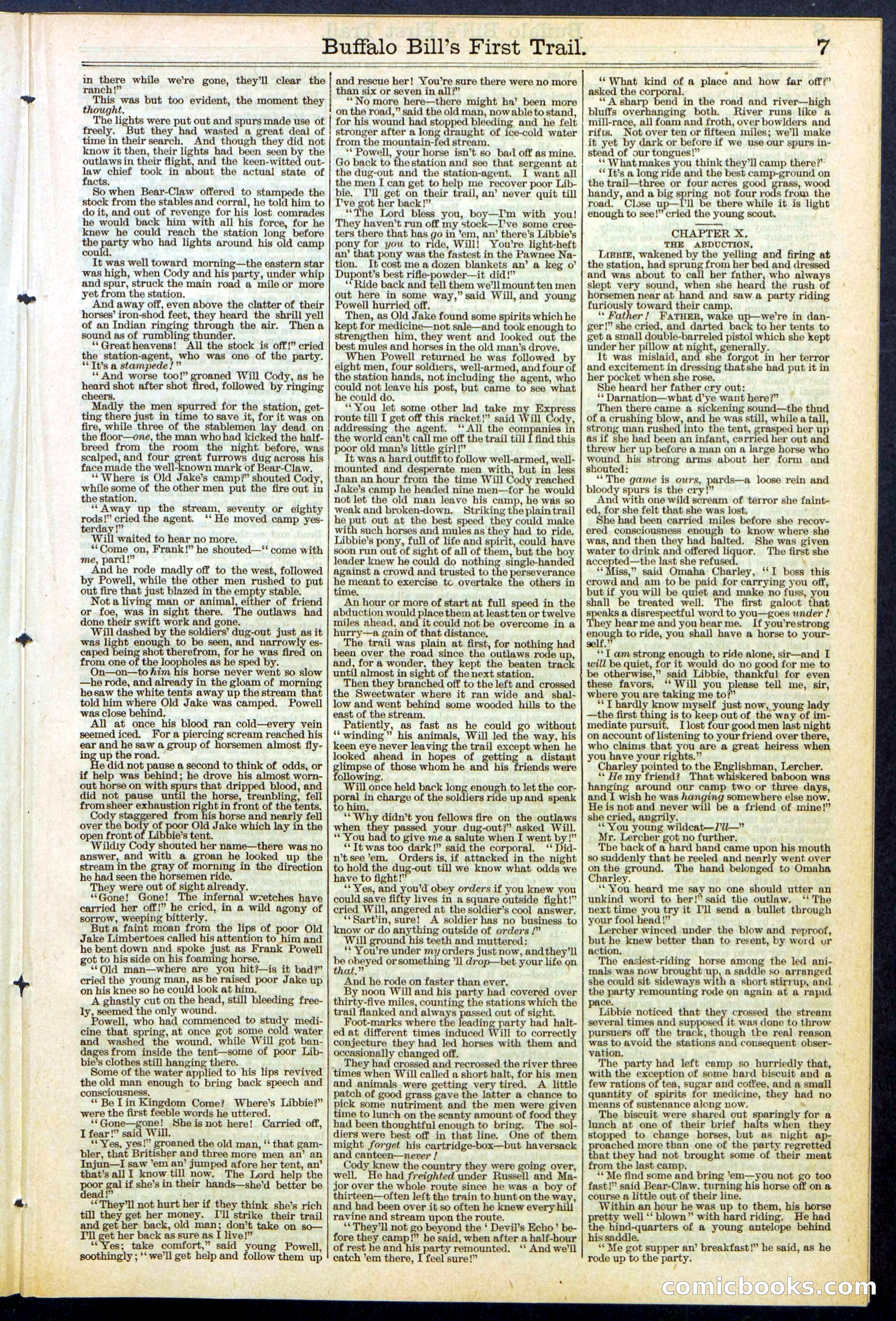 Beadle's New York Dime Library No. 517 — page 7 of 32