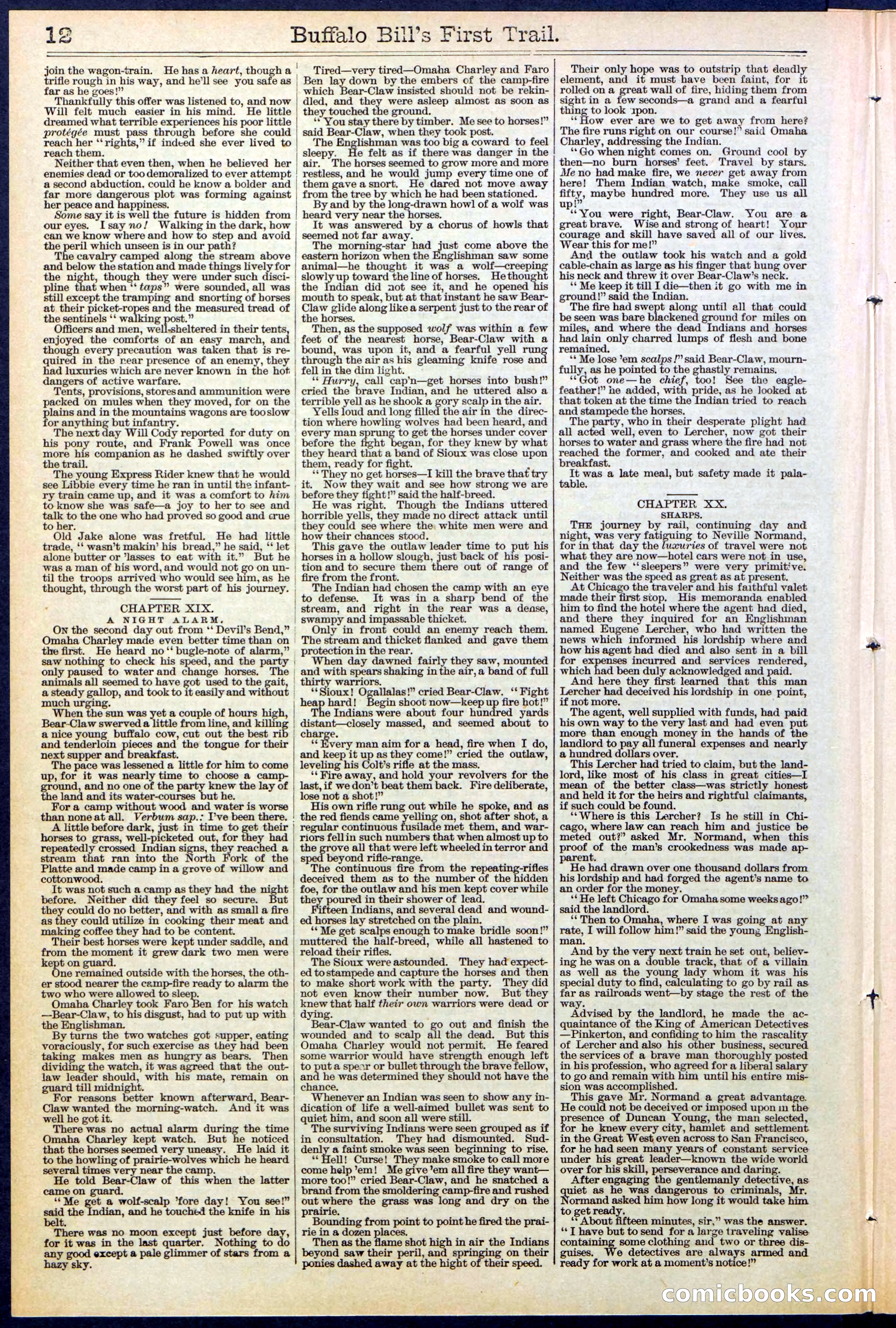Beadle's New York Dime Library No. 517 — page 12 of 32
