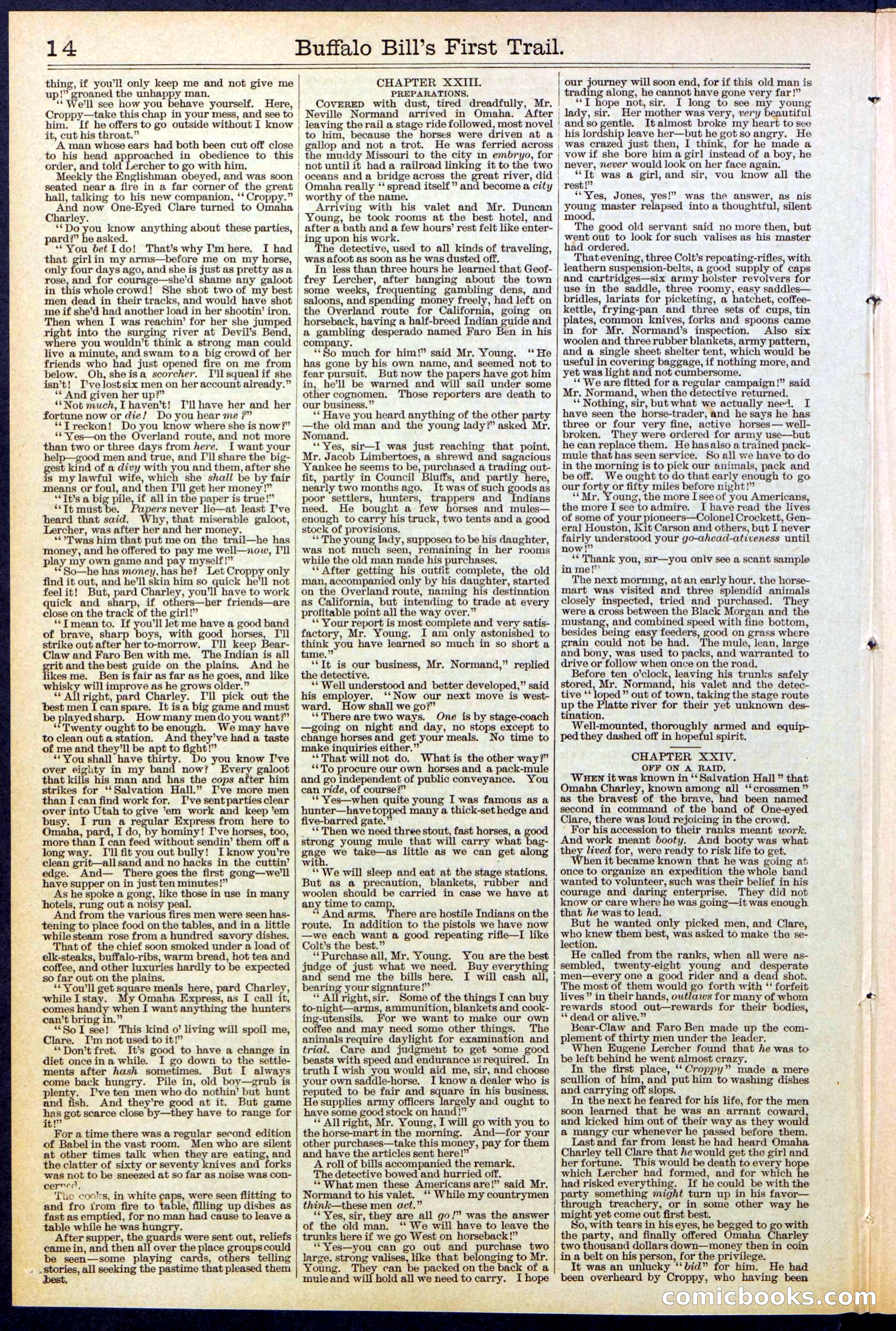Beadle's New York Dime Library No. 517 — page 14 of 32