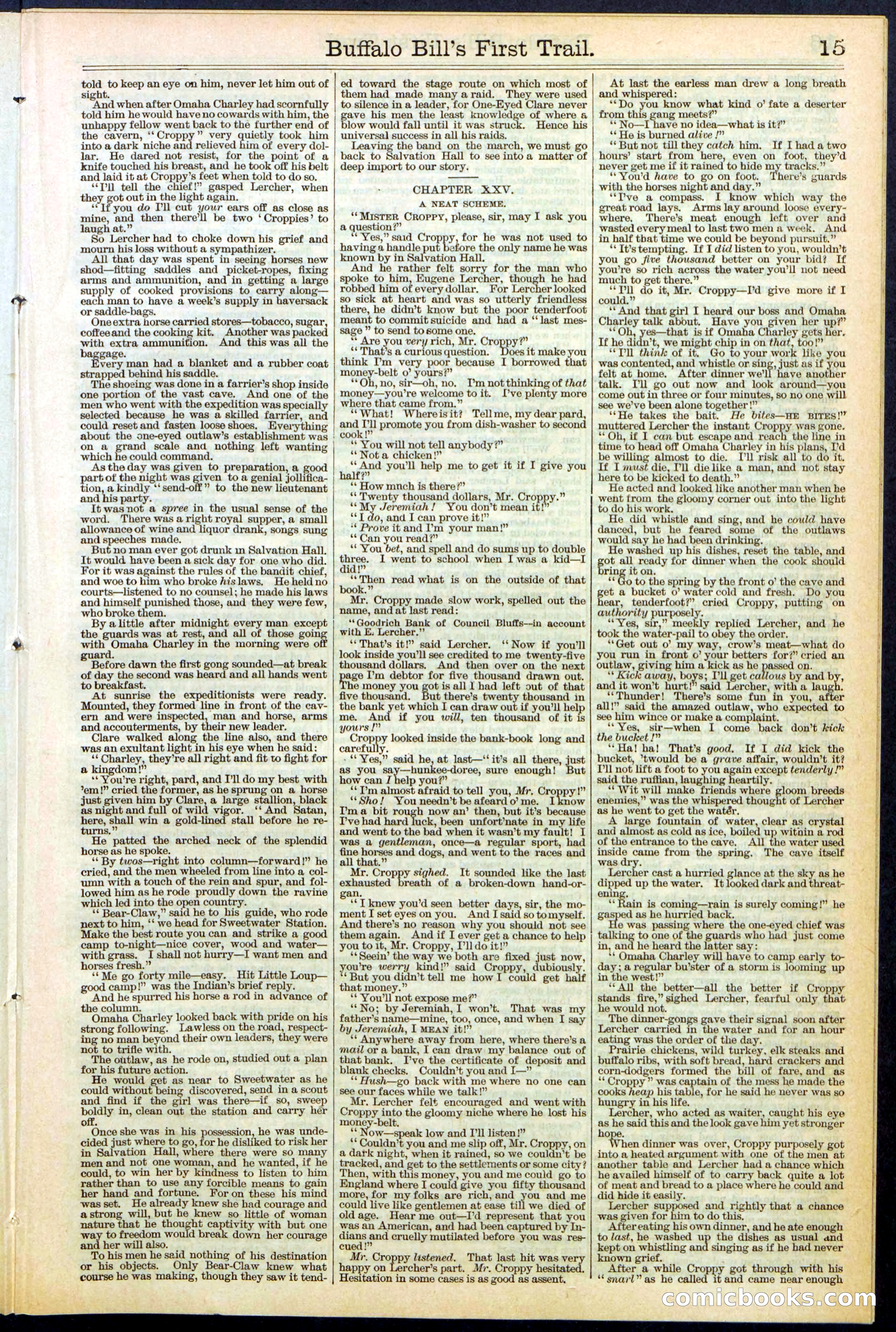 Beadle's New York Dime Library No. 517 — page 15 of 32