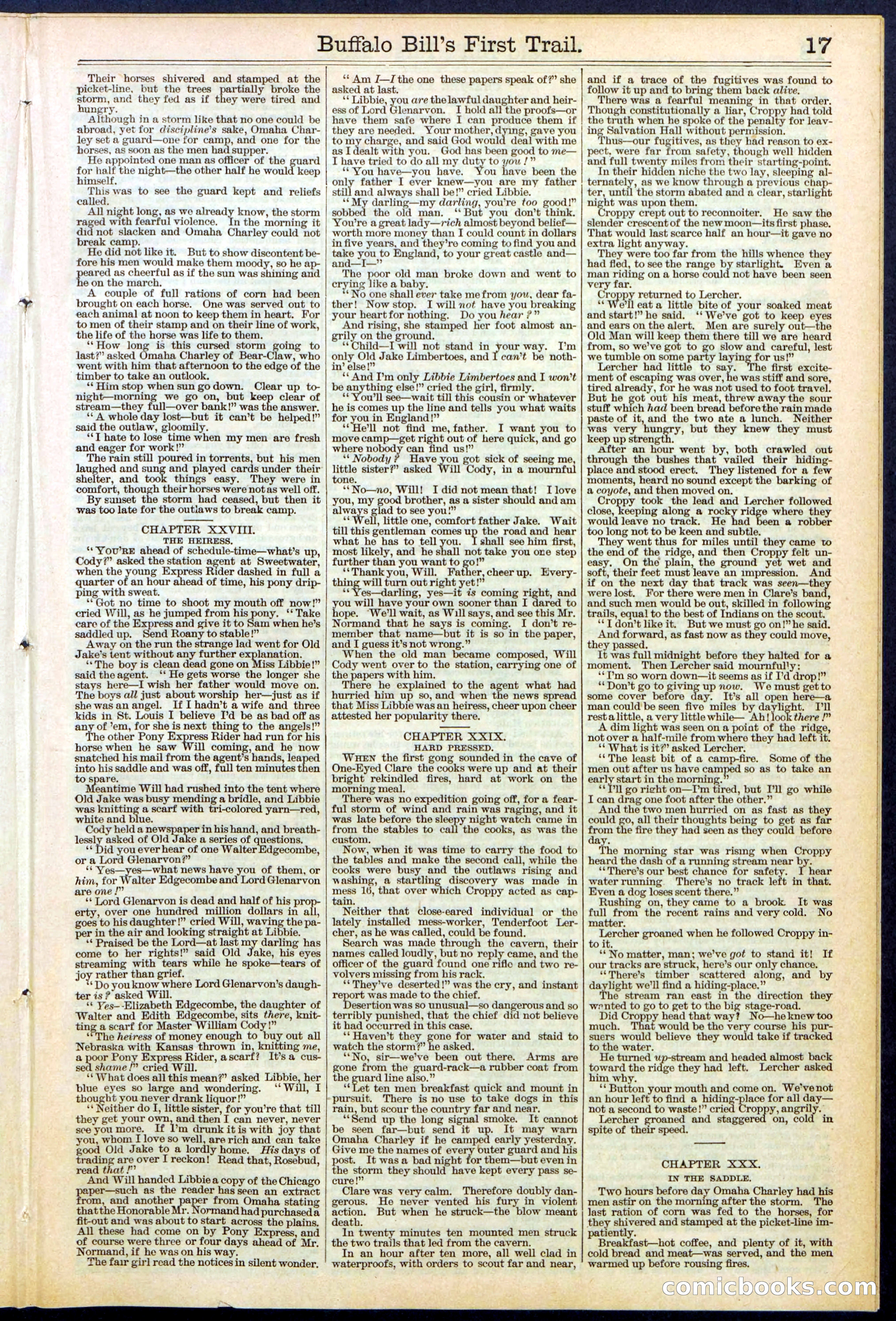 Beadle's New York Dime Library No. 517 — page 17 of 32