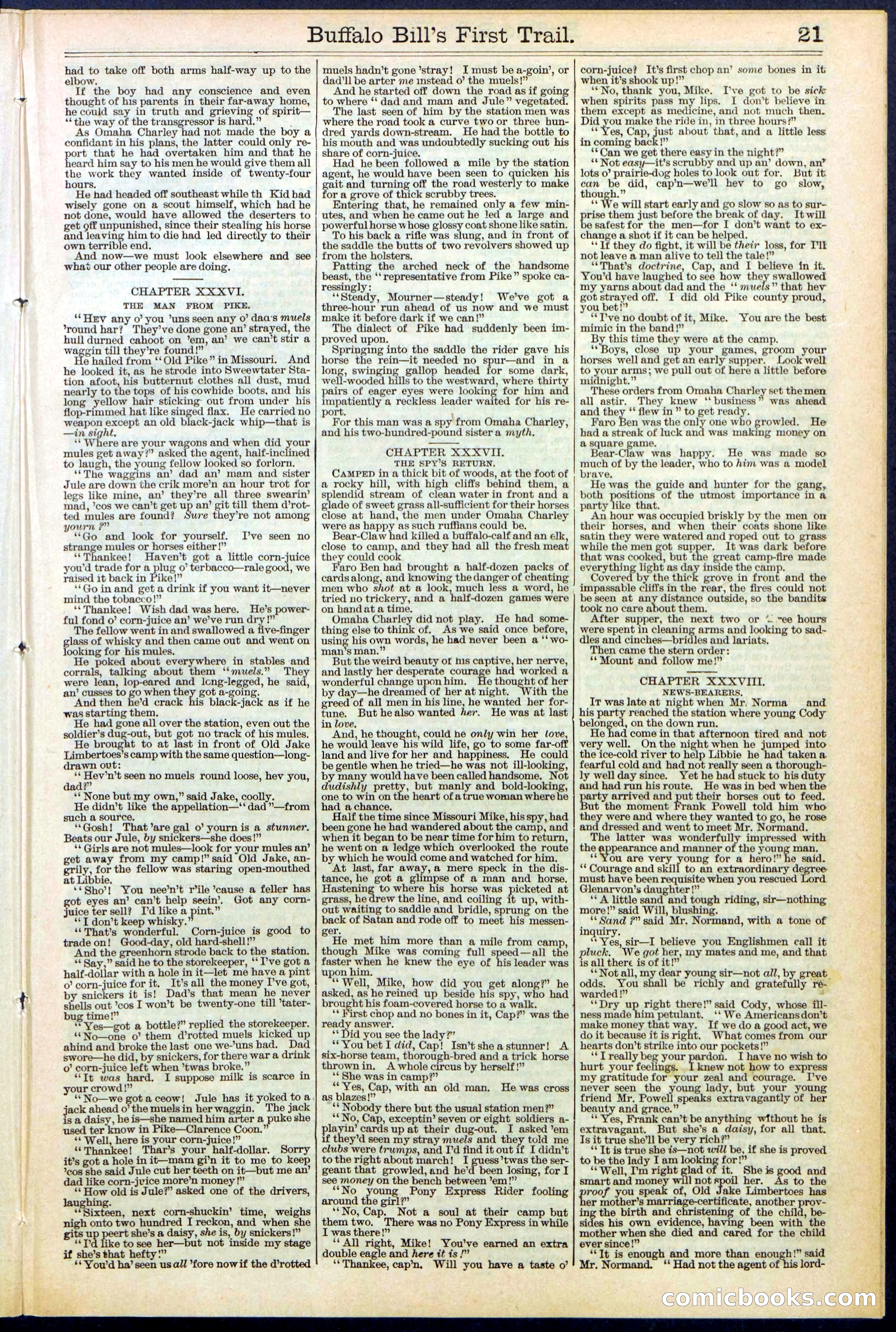 Beadle's New York Dime Library No. 517 — page 21 of 32