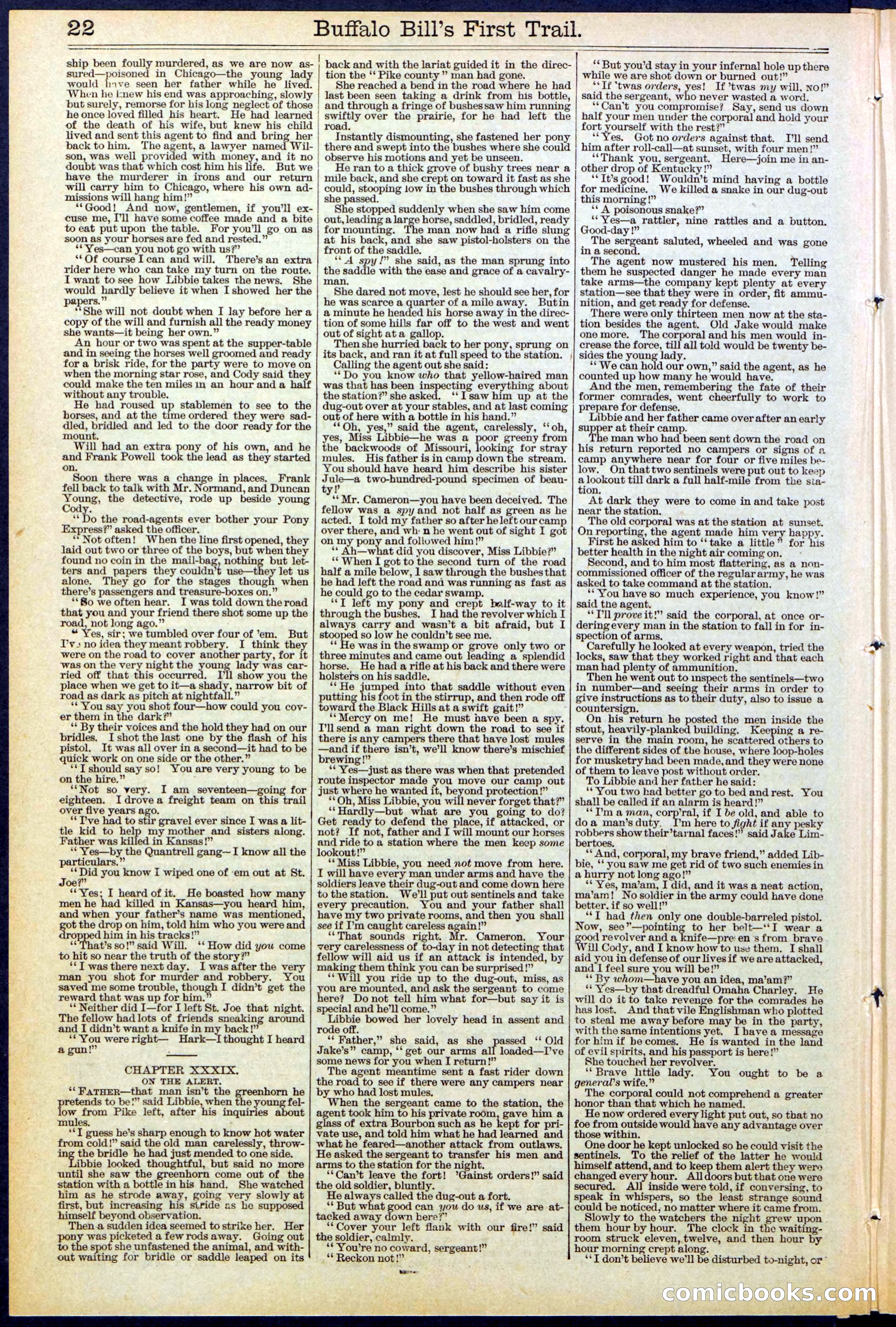 Beadle's New York Dime Library No. 517 — page 22 of 32