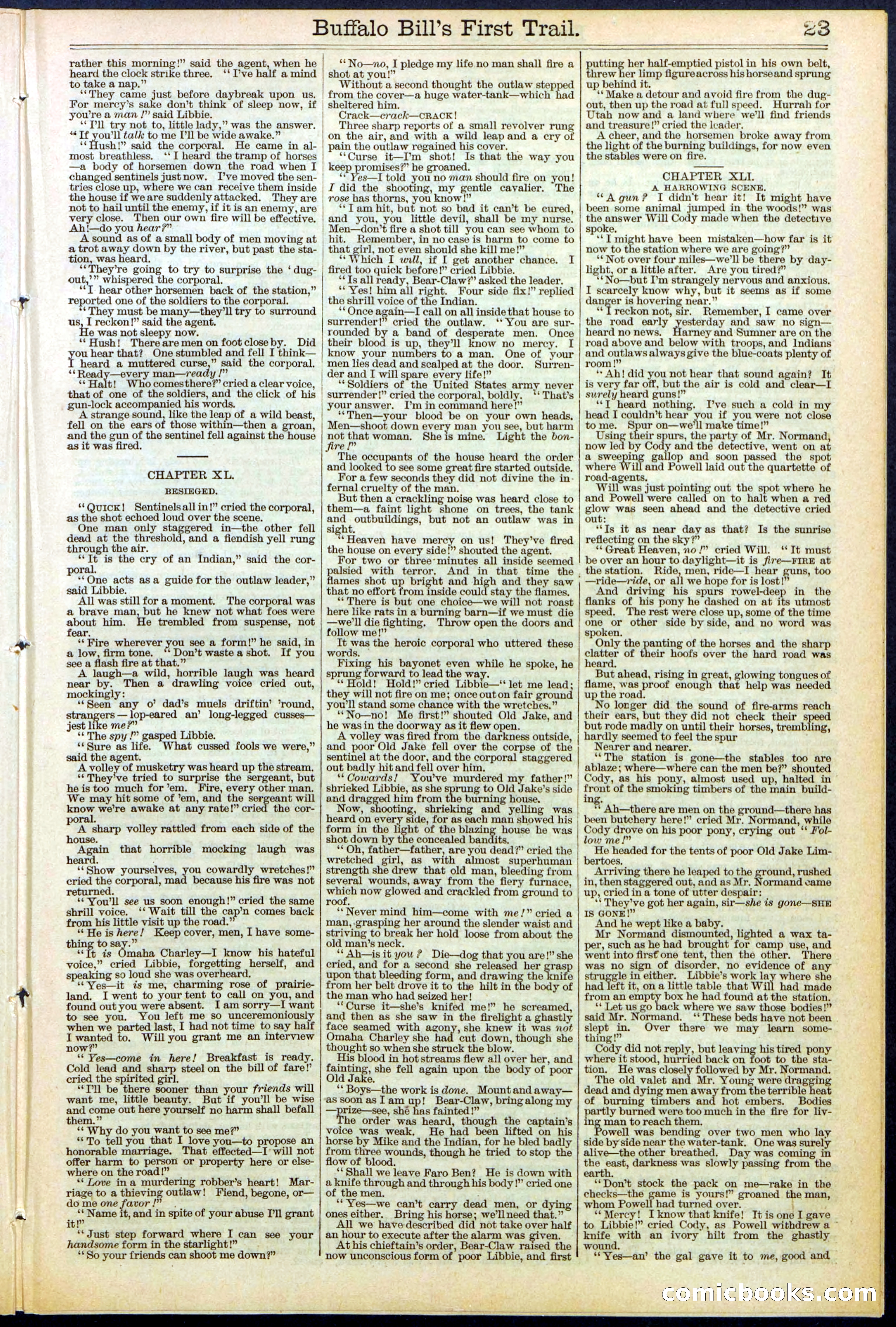 Beadle's New York Dime Library No. 517 — page 23 of 32