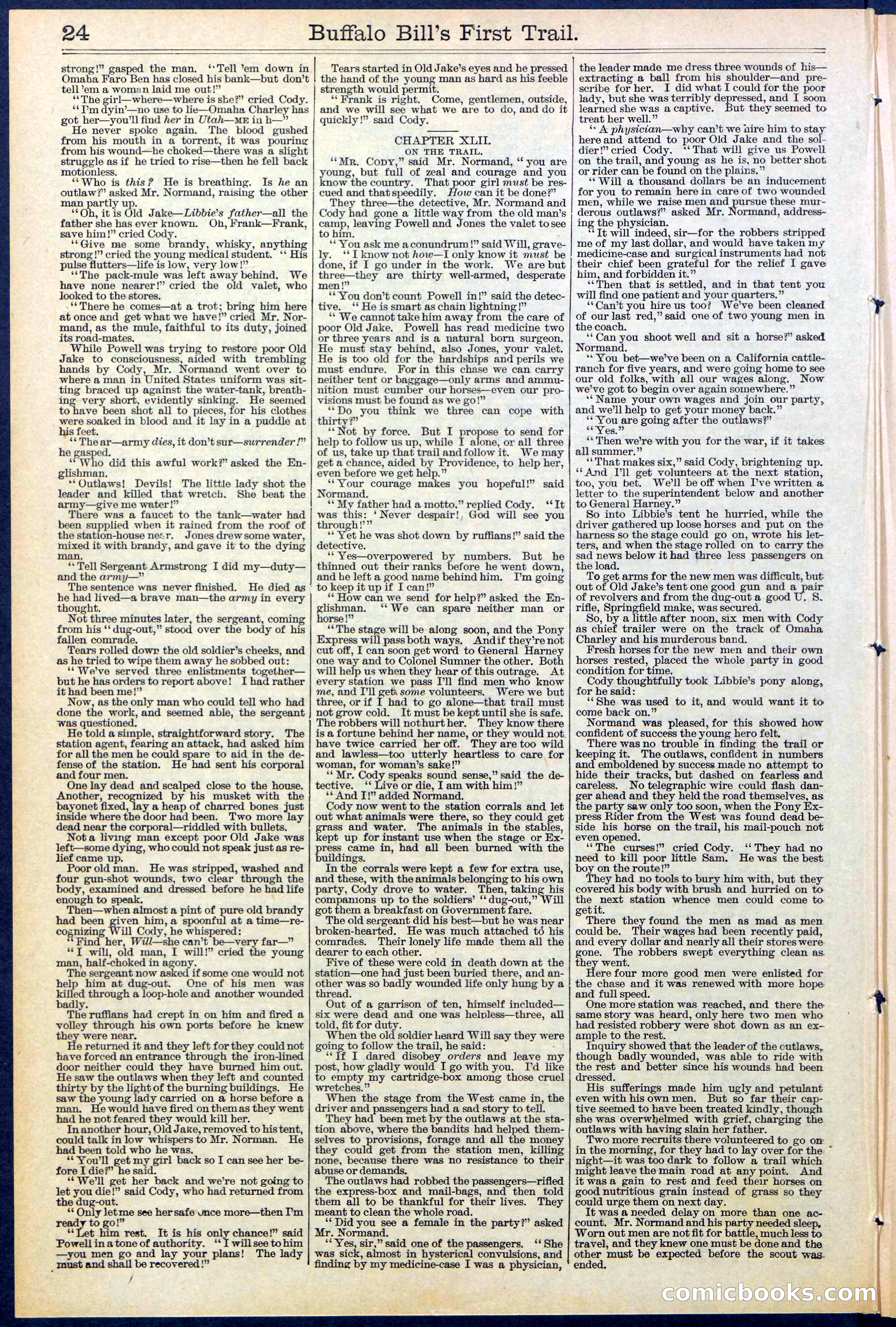Beadle's New York Dime Library No. 517 — page 24 of 32