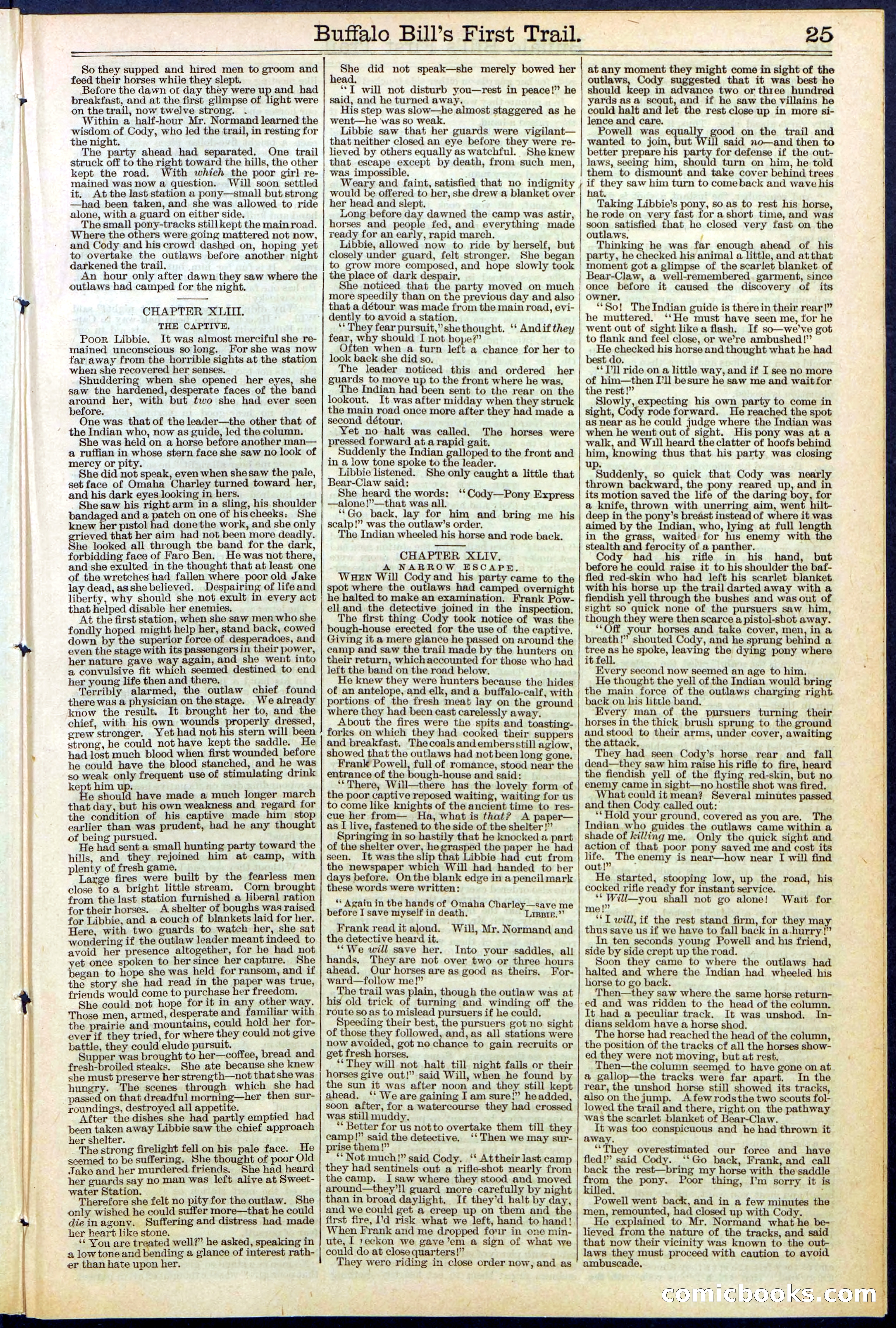 Beadle's New York Dime Library No. 517 — page 25 of 32
