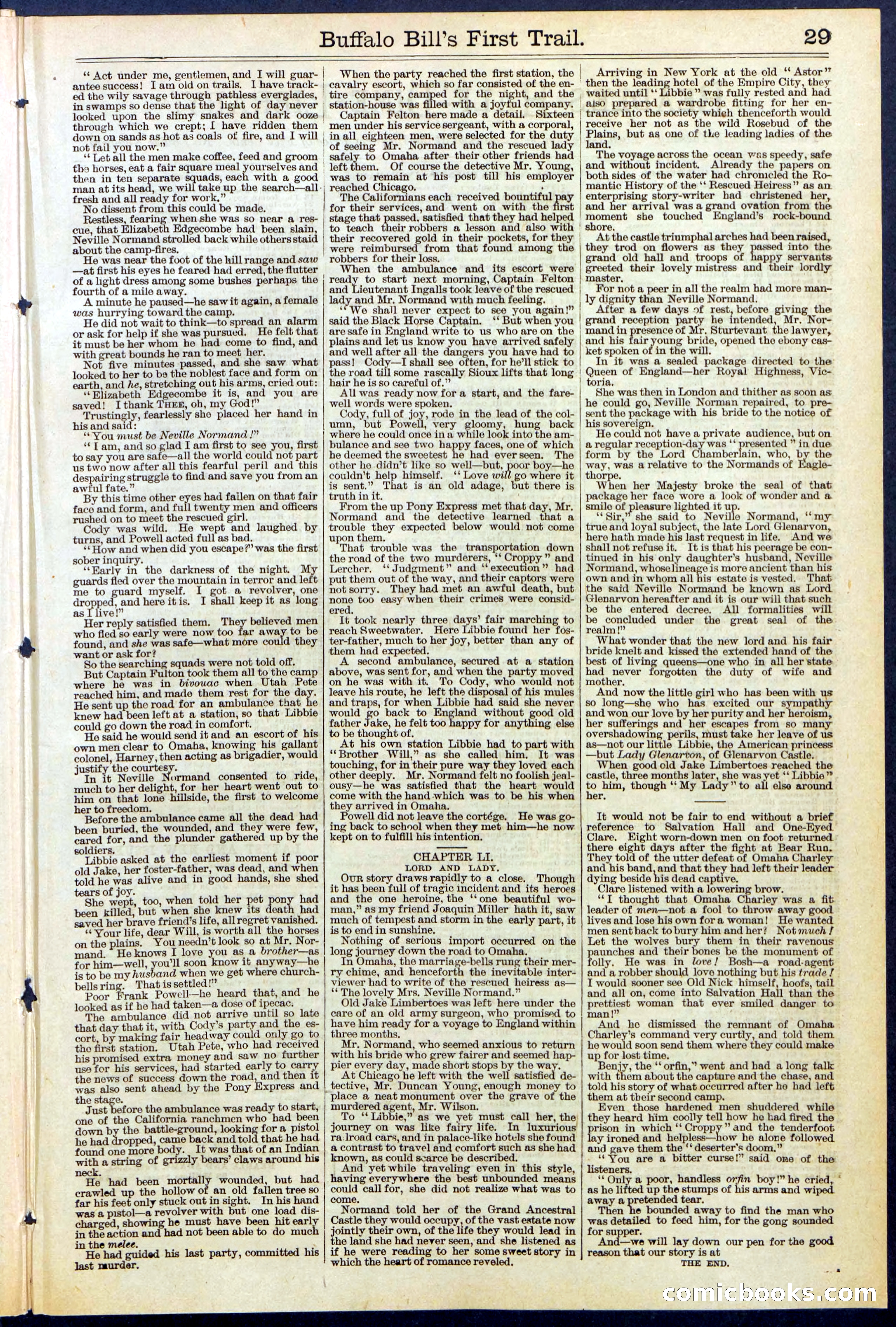 Beadle's New York Dime Library No. 517 — page 29 of 32