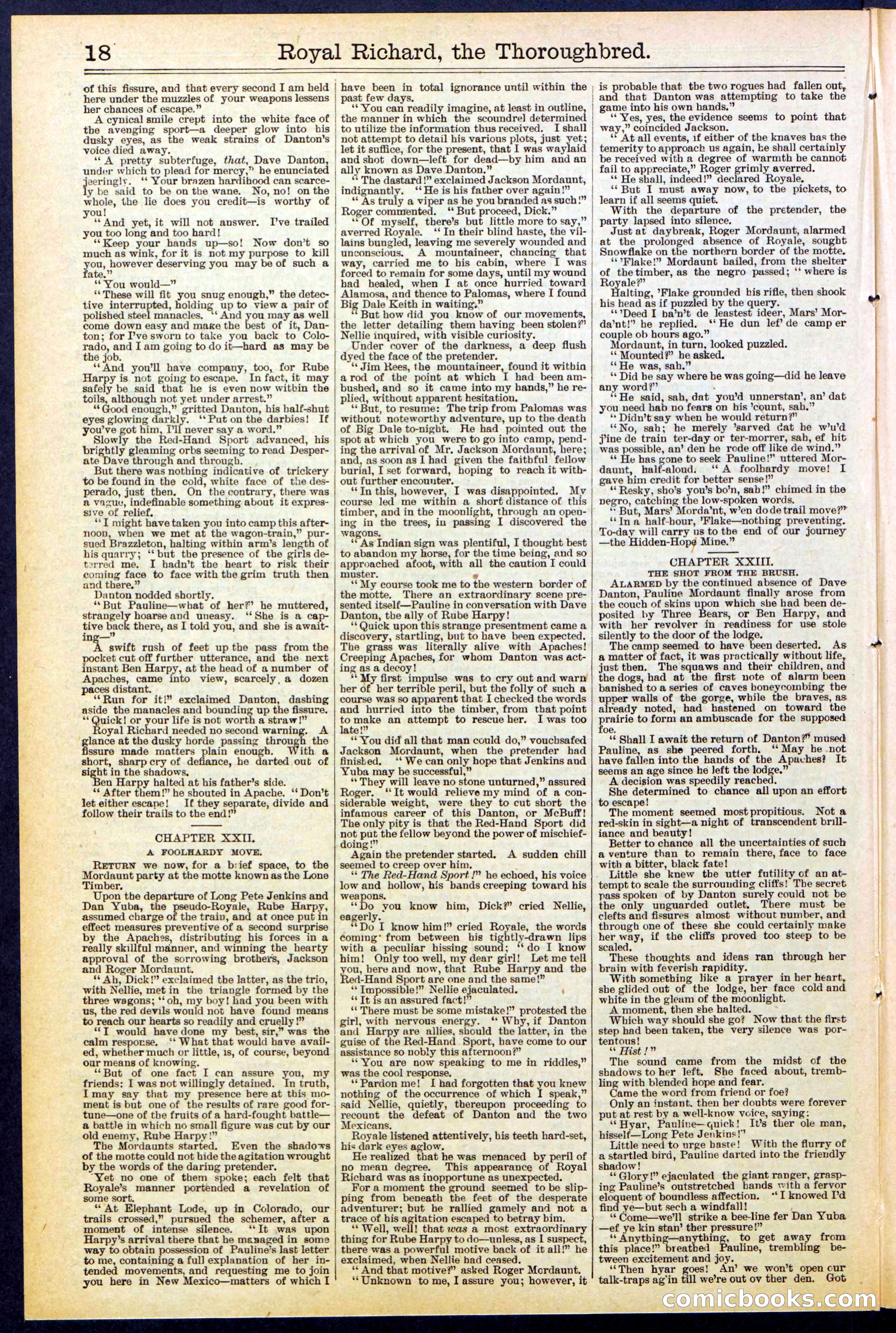 Beadle's Dime Library No. 518 — page 18 of 32