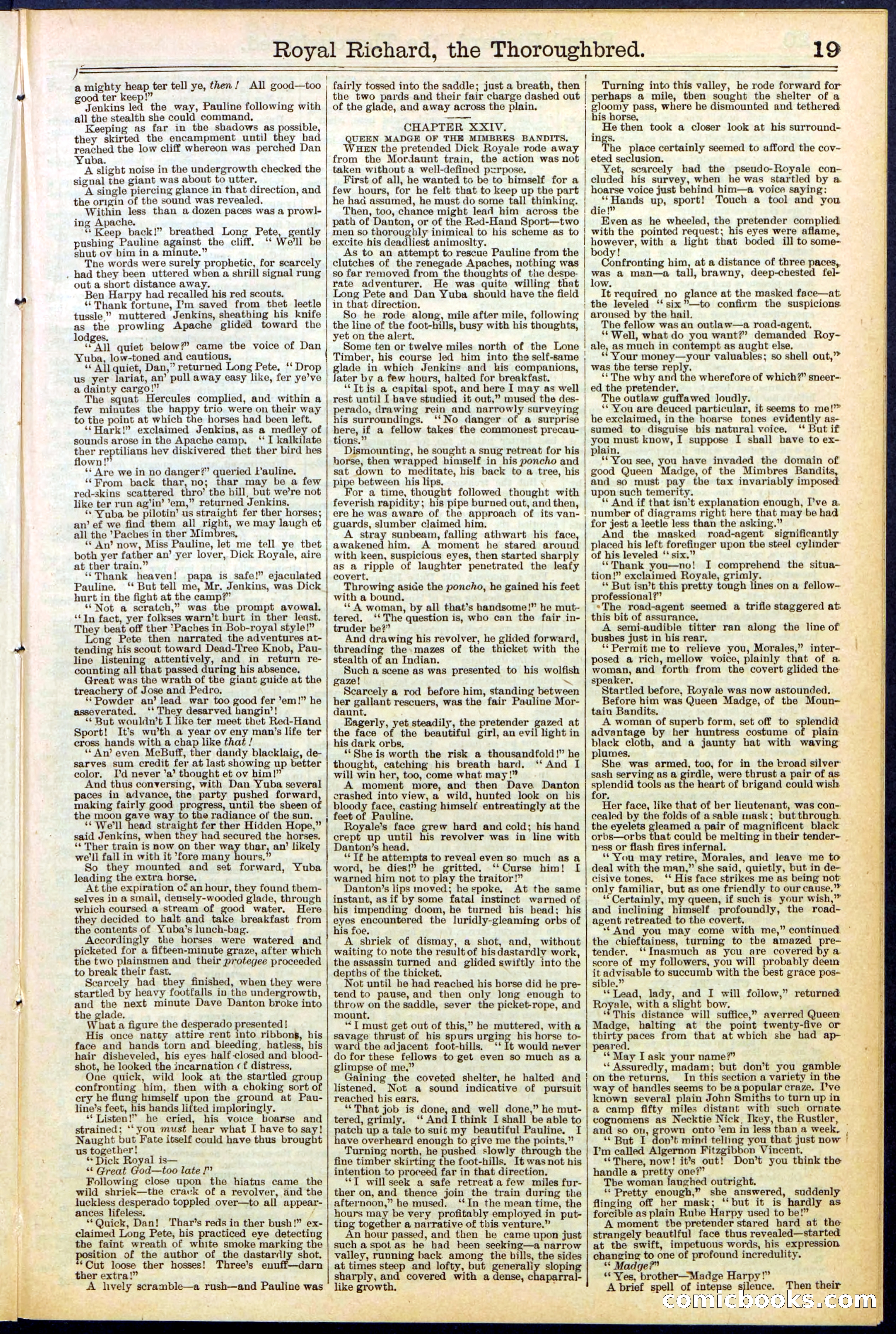 Beadle's Dime Library No. 518 — page 19 of 32