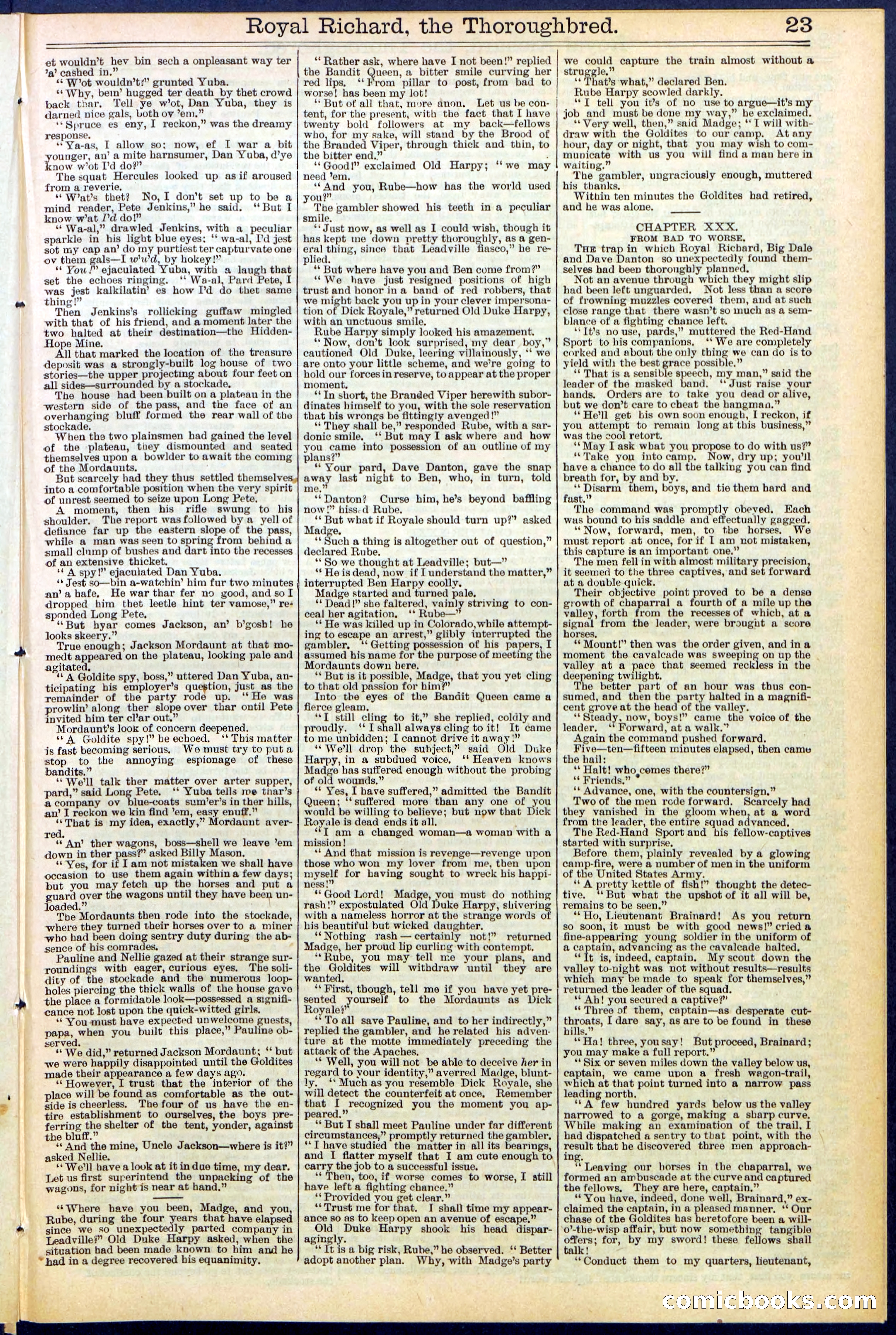 Beadle's Dime Library No. 518 — page 23 of 32