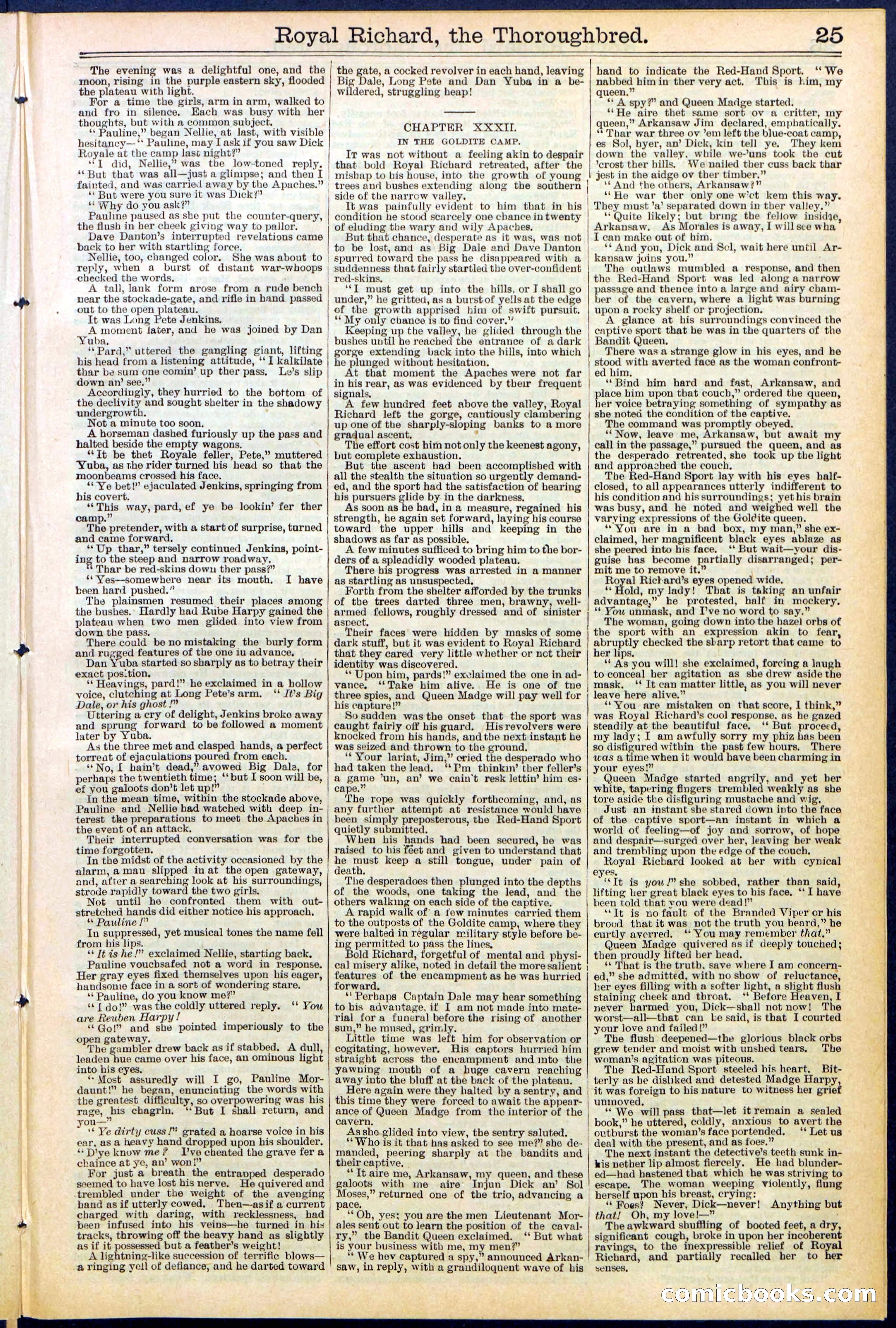 Beadle's Dime Library No. 518 — page 25 of 32