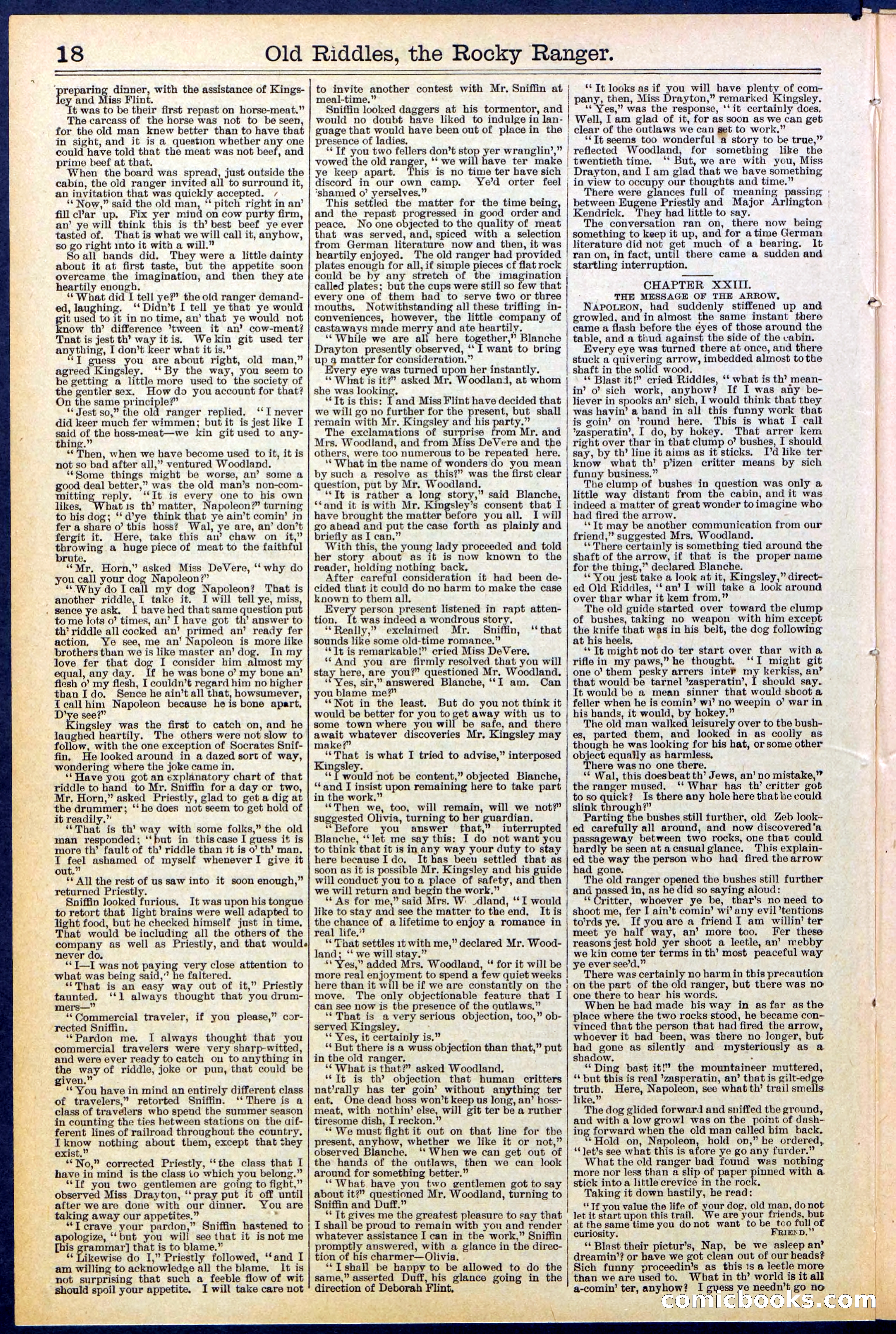Beadle's New York Dime Library No. 519 — page 18 of 32