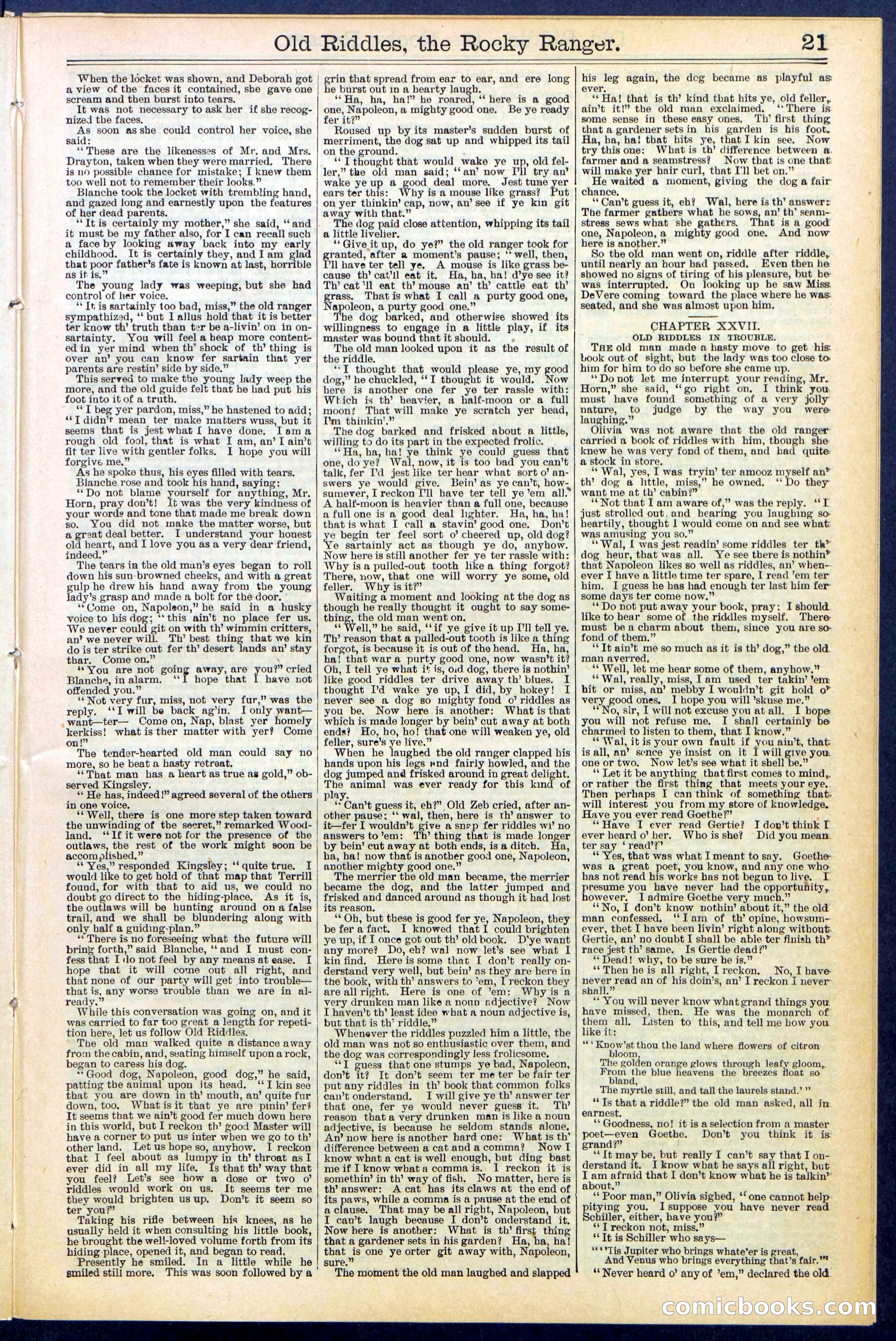 Beadle's New York Dime Library No. 519 — page 21 of 32