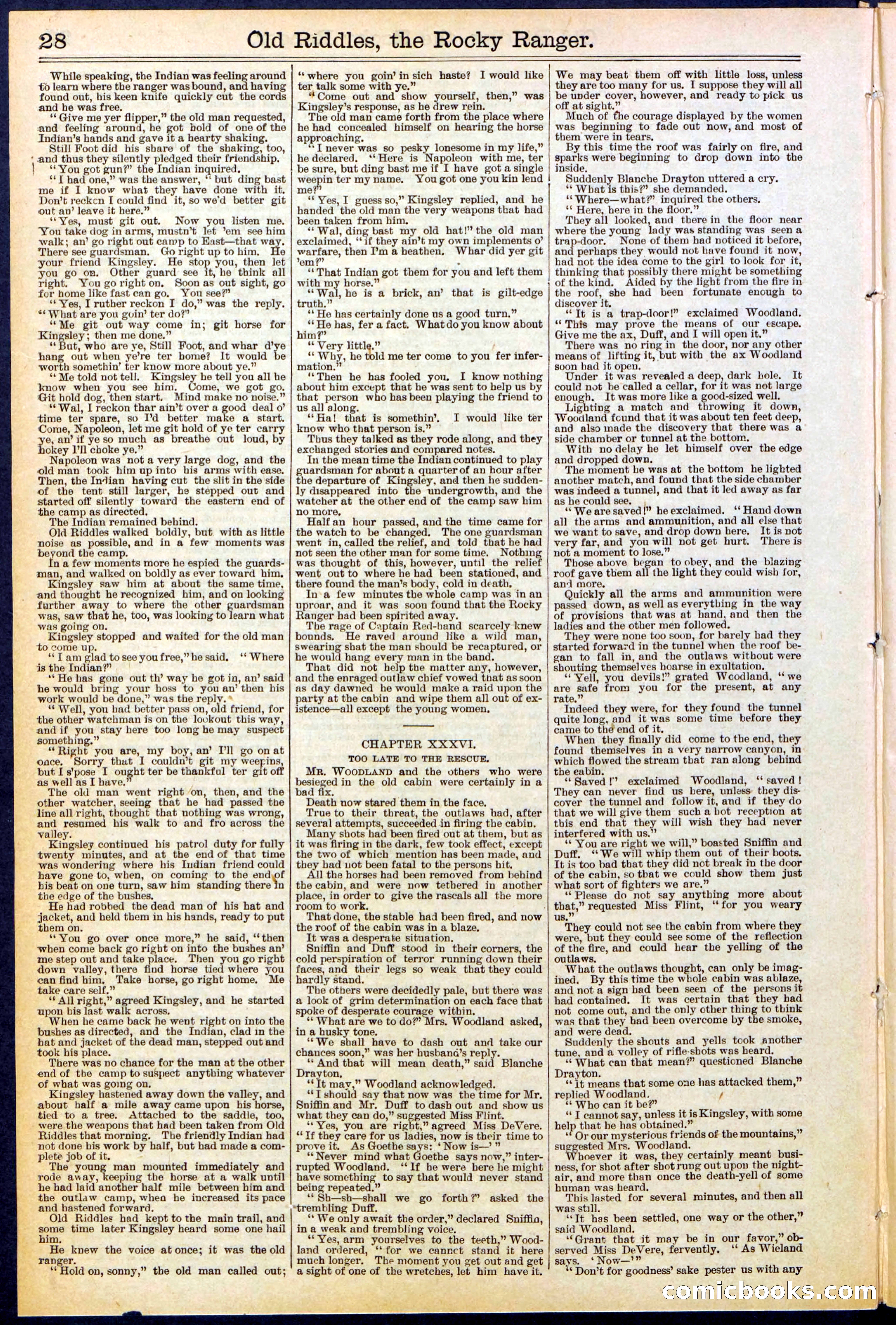 Beadle's New York Dime Library No. 519 — page 28 of 32