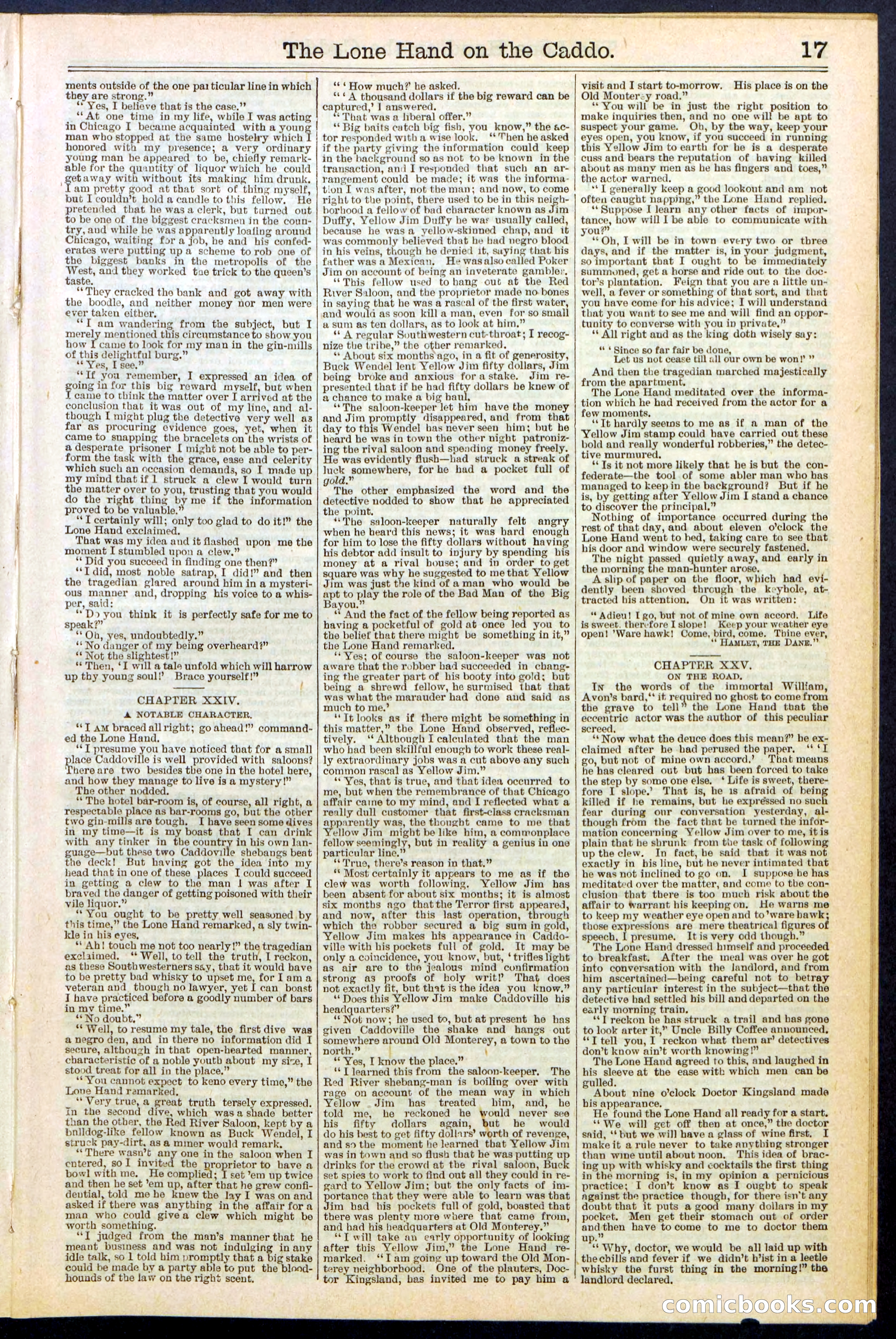 Beadle's New York Dime Library No. 520 — page 17 of 32