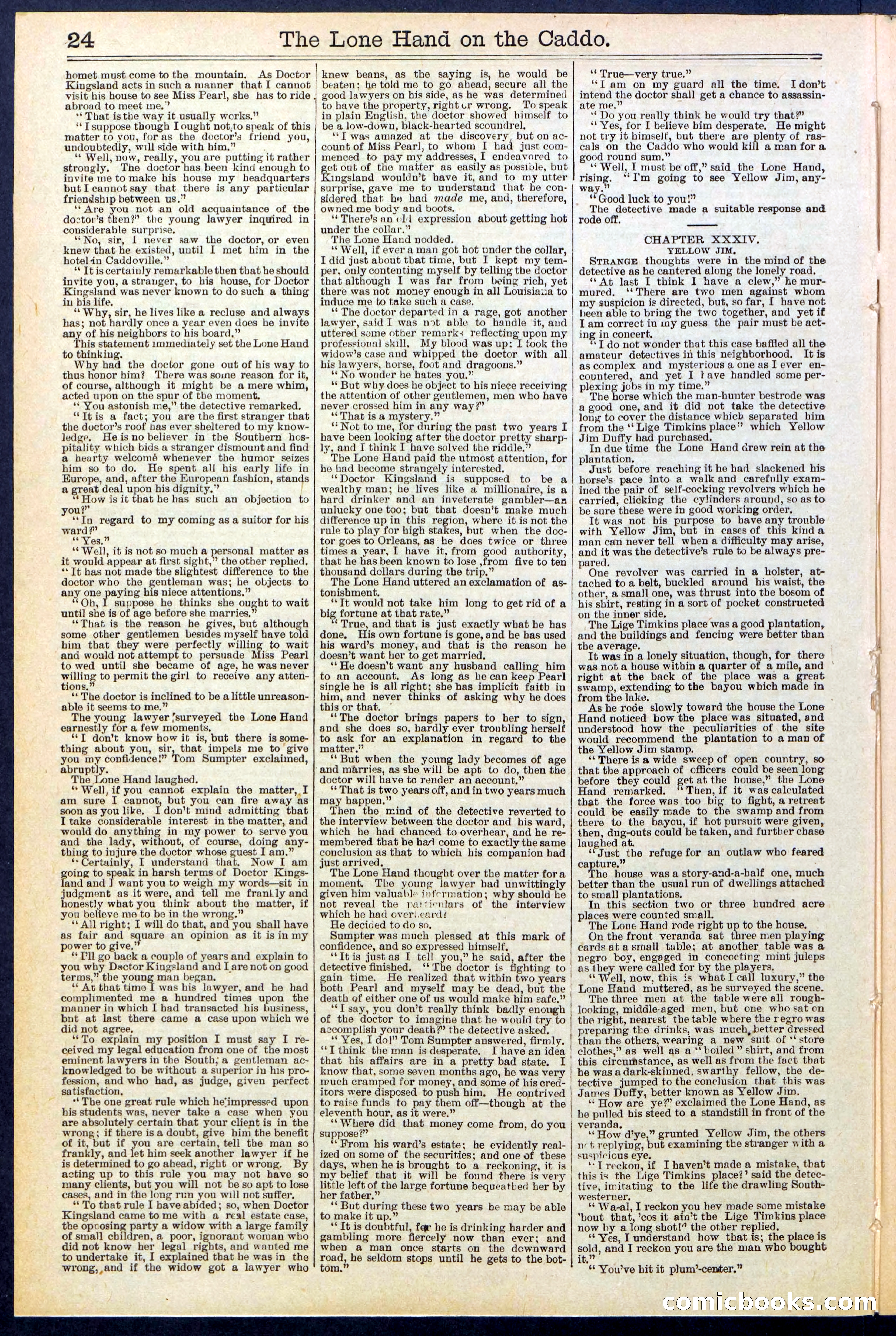 Beadle's New York Dime Library No. 520 — page 24 of 32