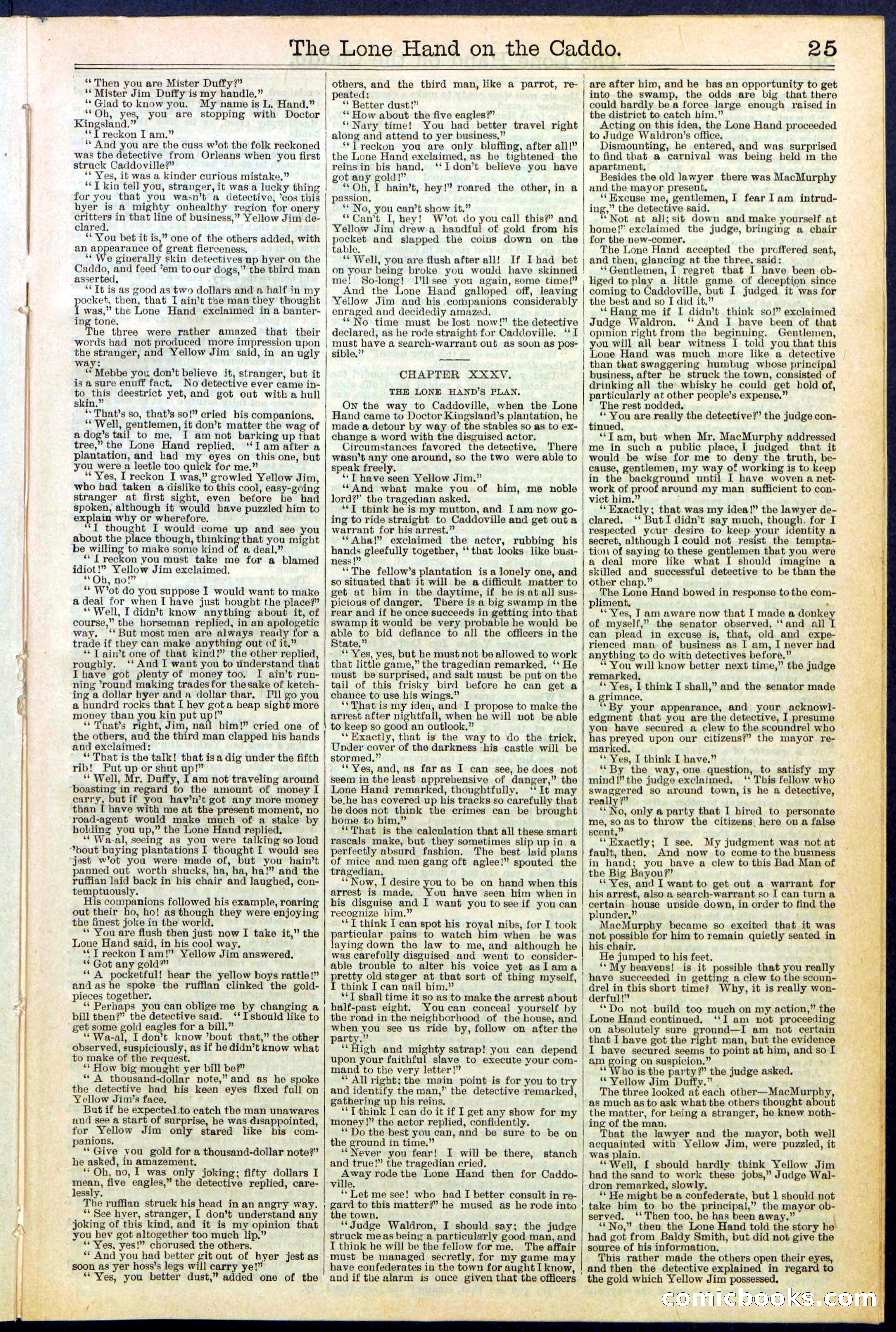 Beadle's New York Dime Library No. 520 — page 25 of 32