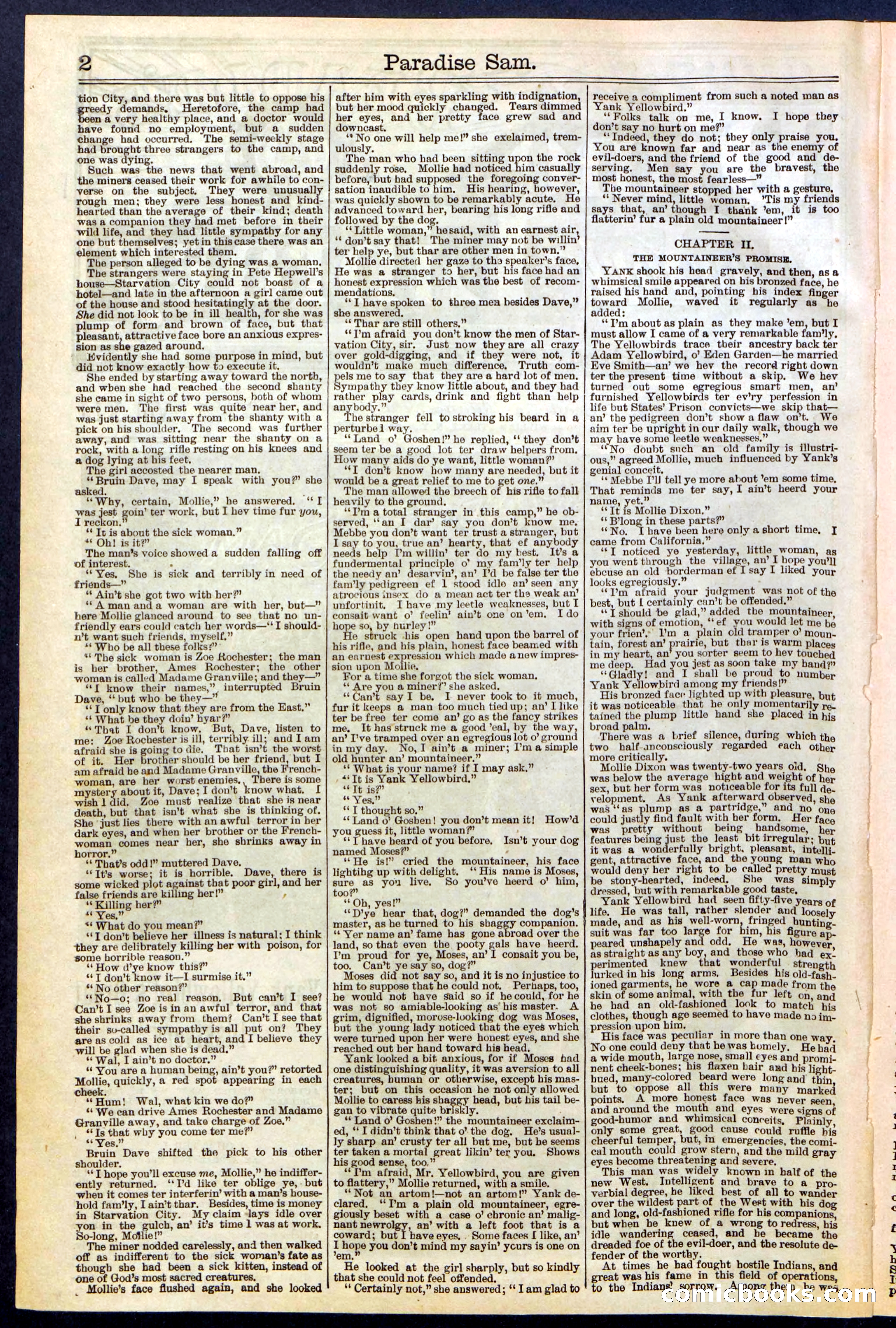 Beadle's New York Dime Library No. 521 — page 3 of 32