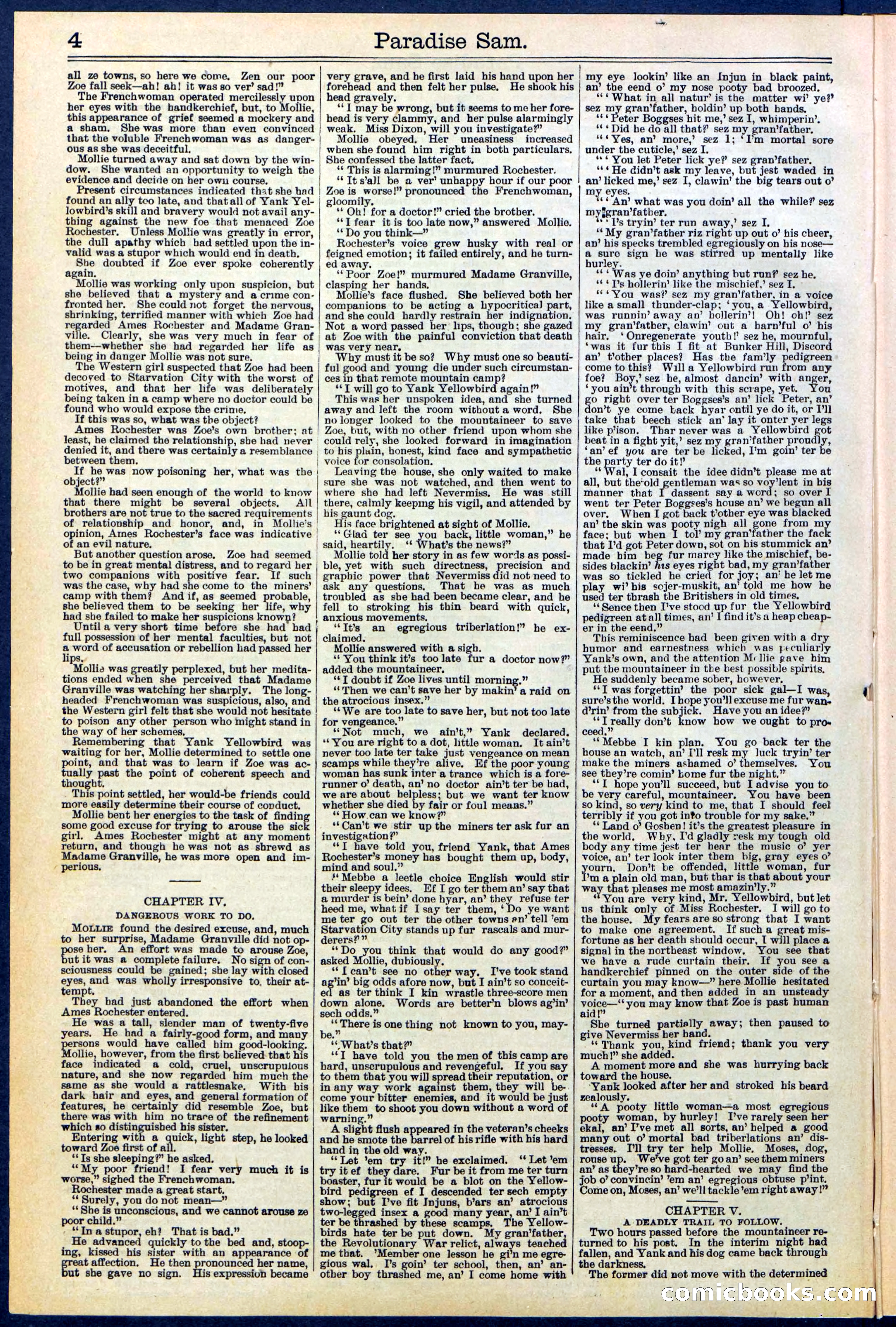 Beadle's New York Dime Library No. 521 — page 4 of 32