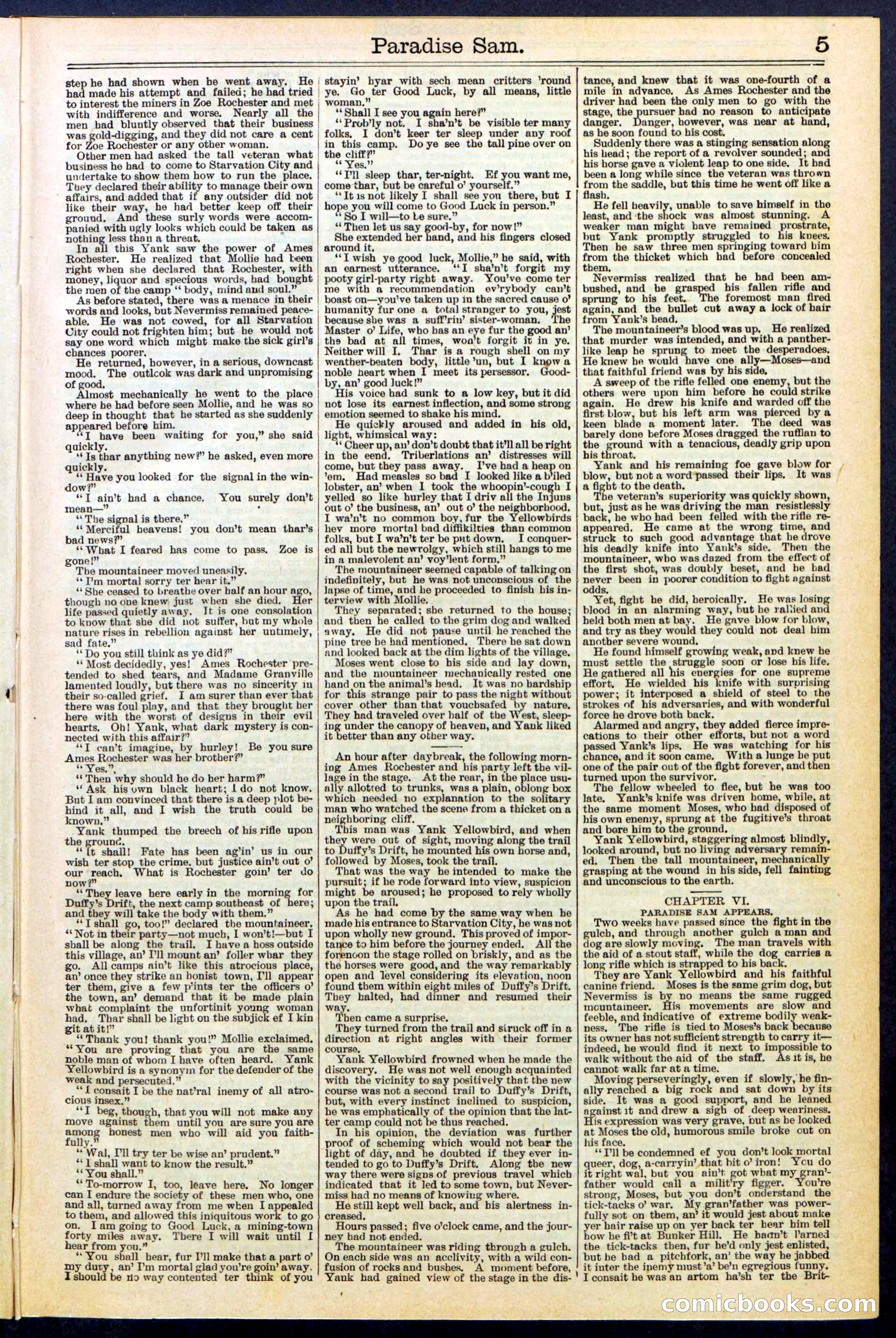 Beadle's New York Dime Library No. 521 — page 5 of 32