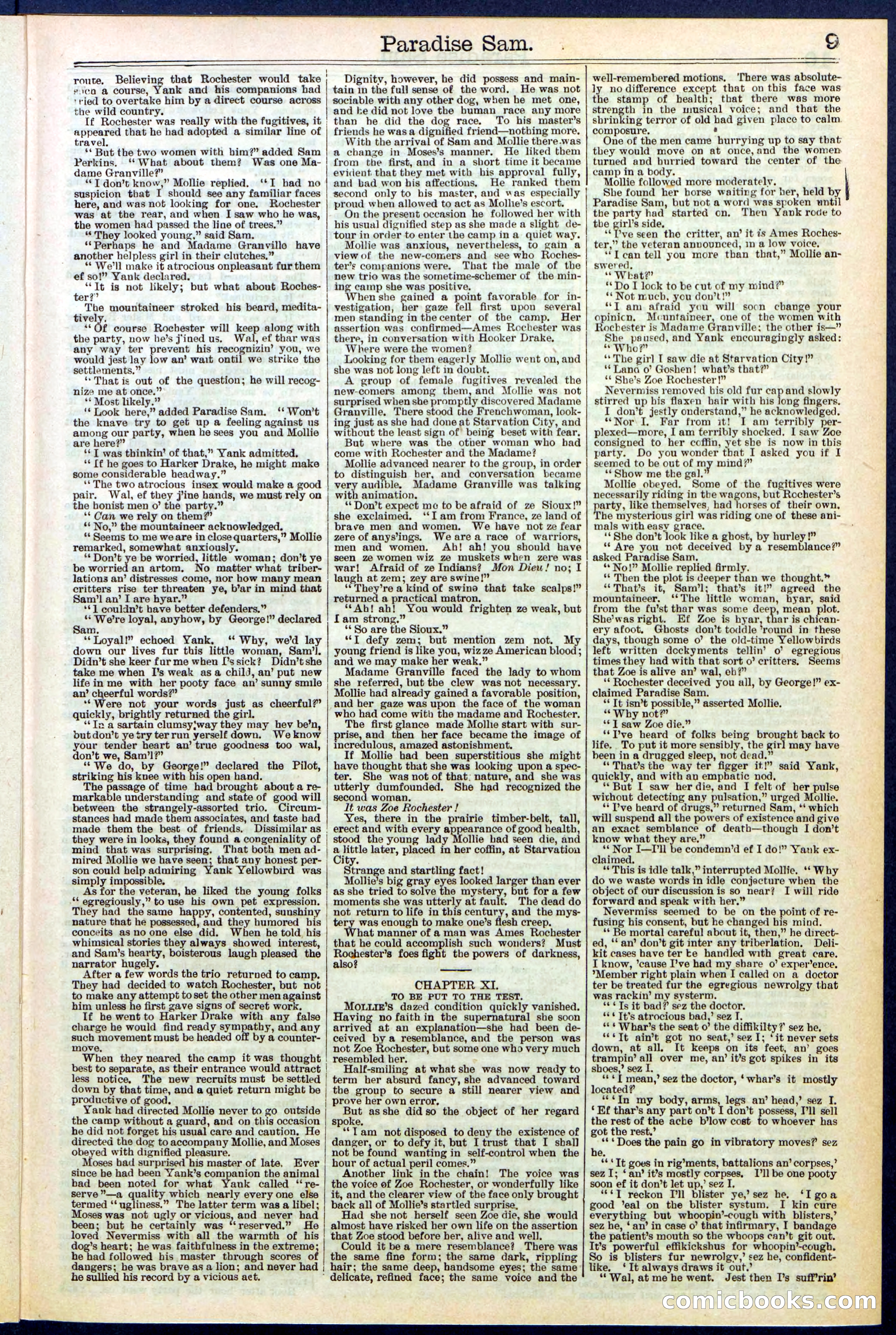 Beadle's New York Dime Library No. 521 — page 9 of 32