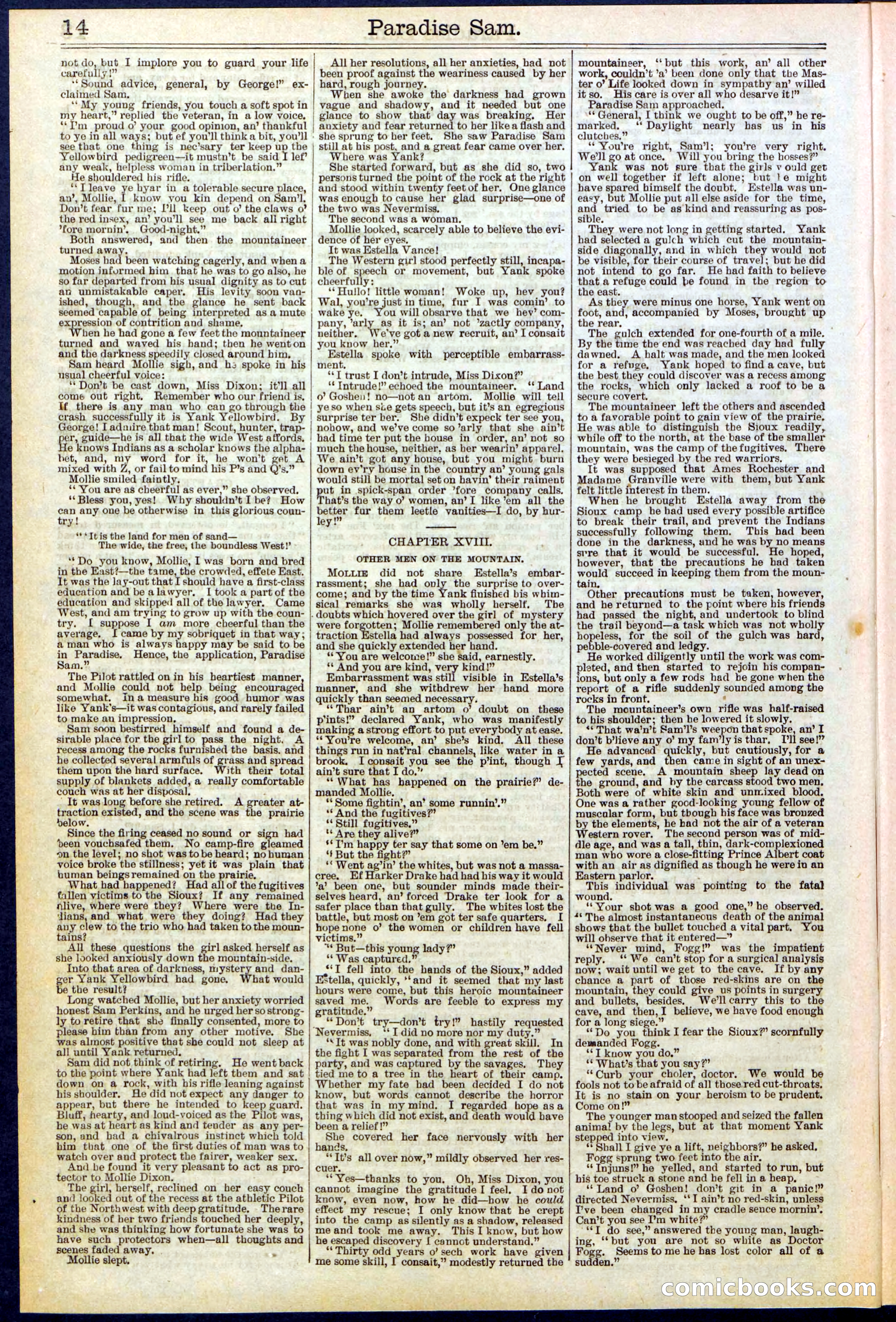 Beadle's New York Dime Library No. 521 — page 14 of 32
