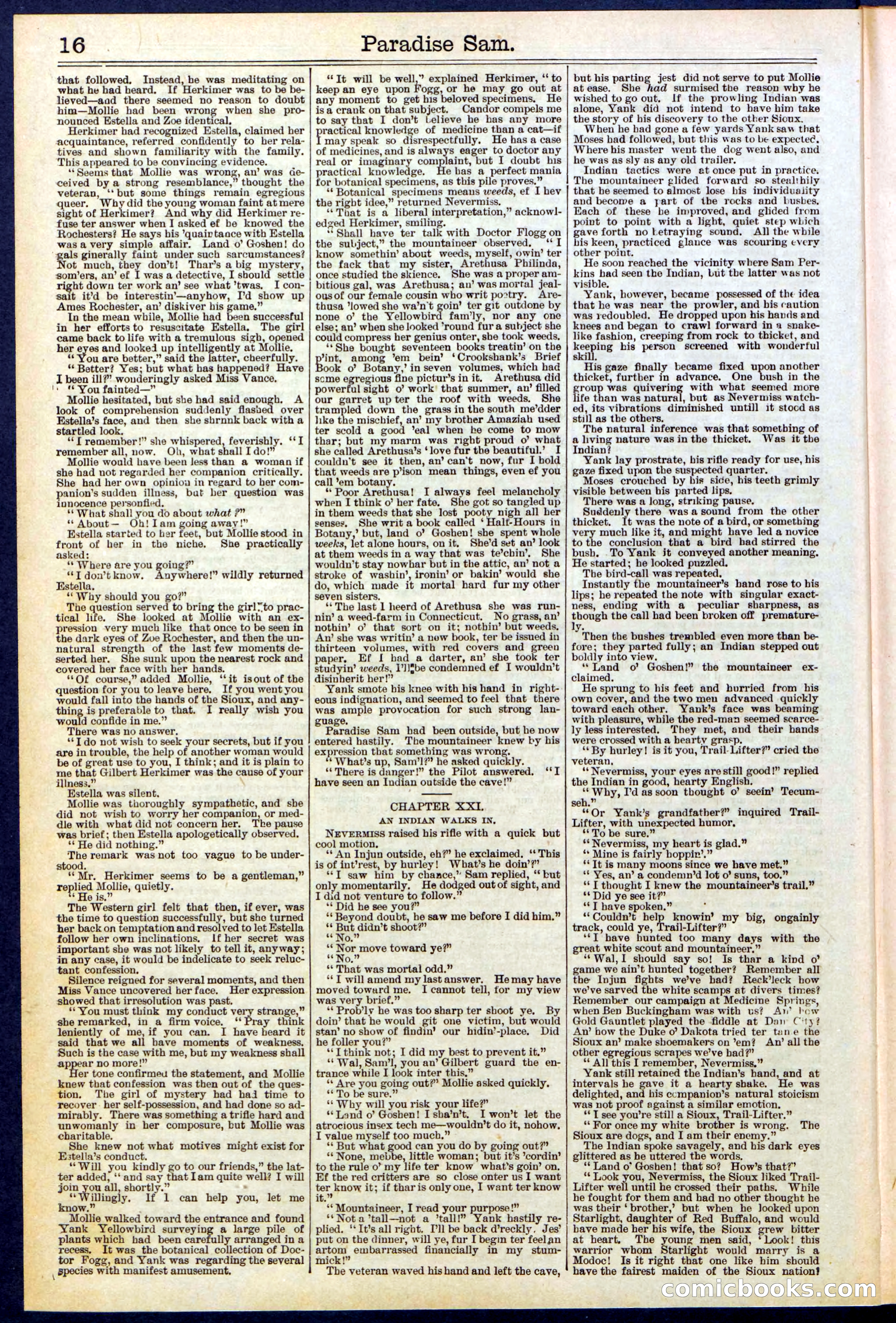 Beadle's New York Dime Library No. 521 — page 16 of 32