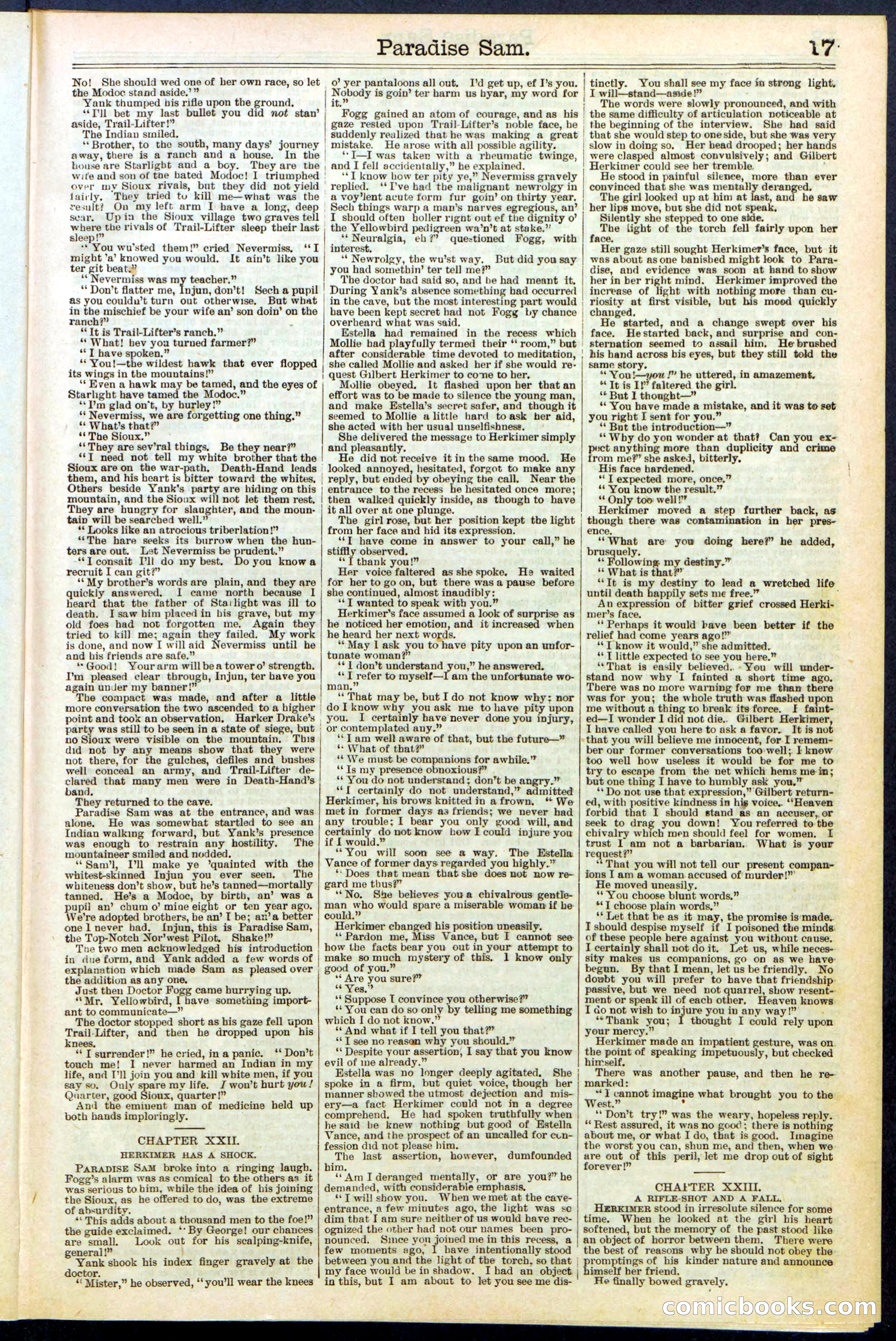 Beadle's New York Dime Library No. 521 — page 17 of 32