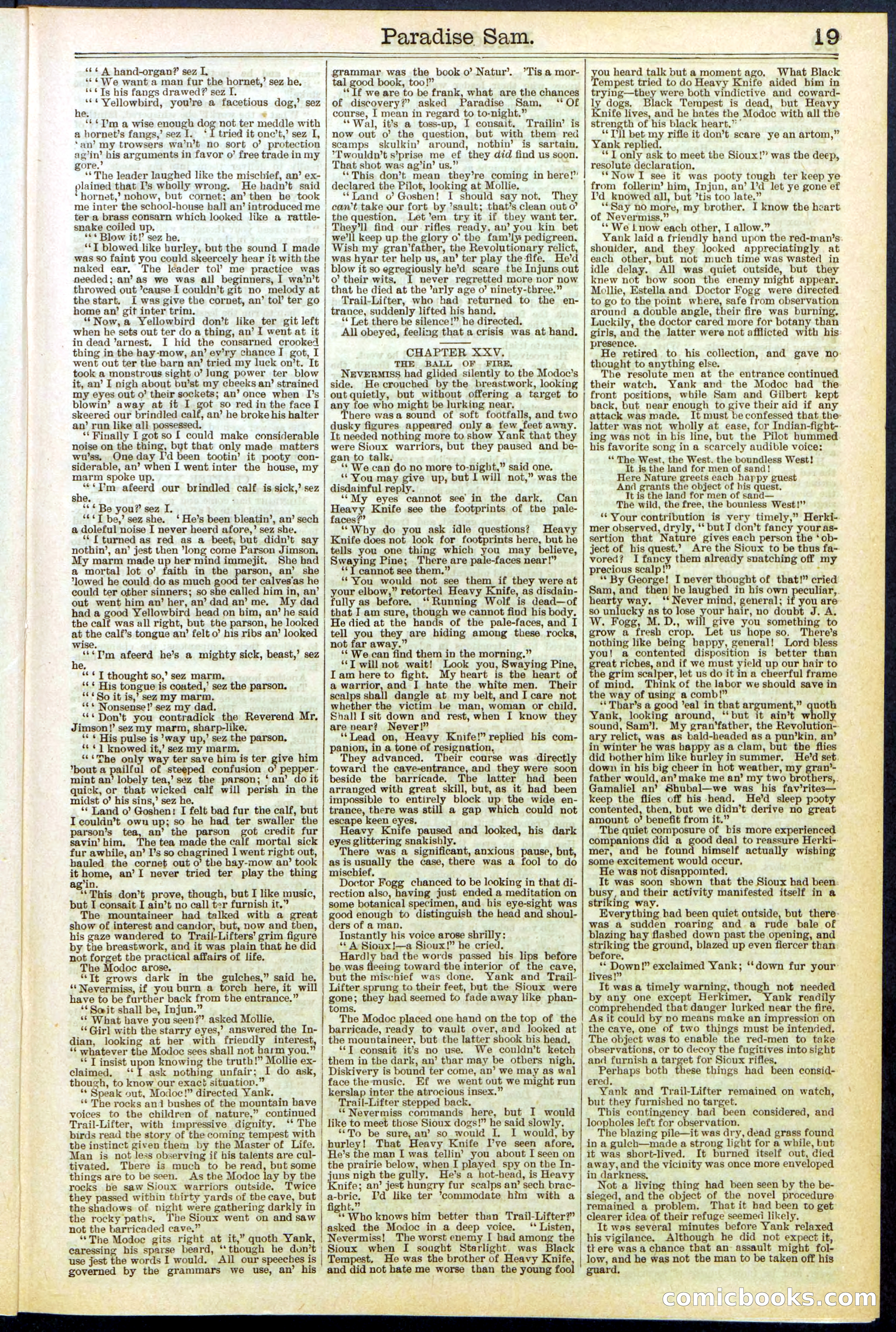 Beadle's New York Dime Library No. 521 — page 19 of 32