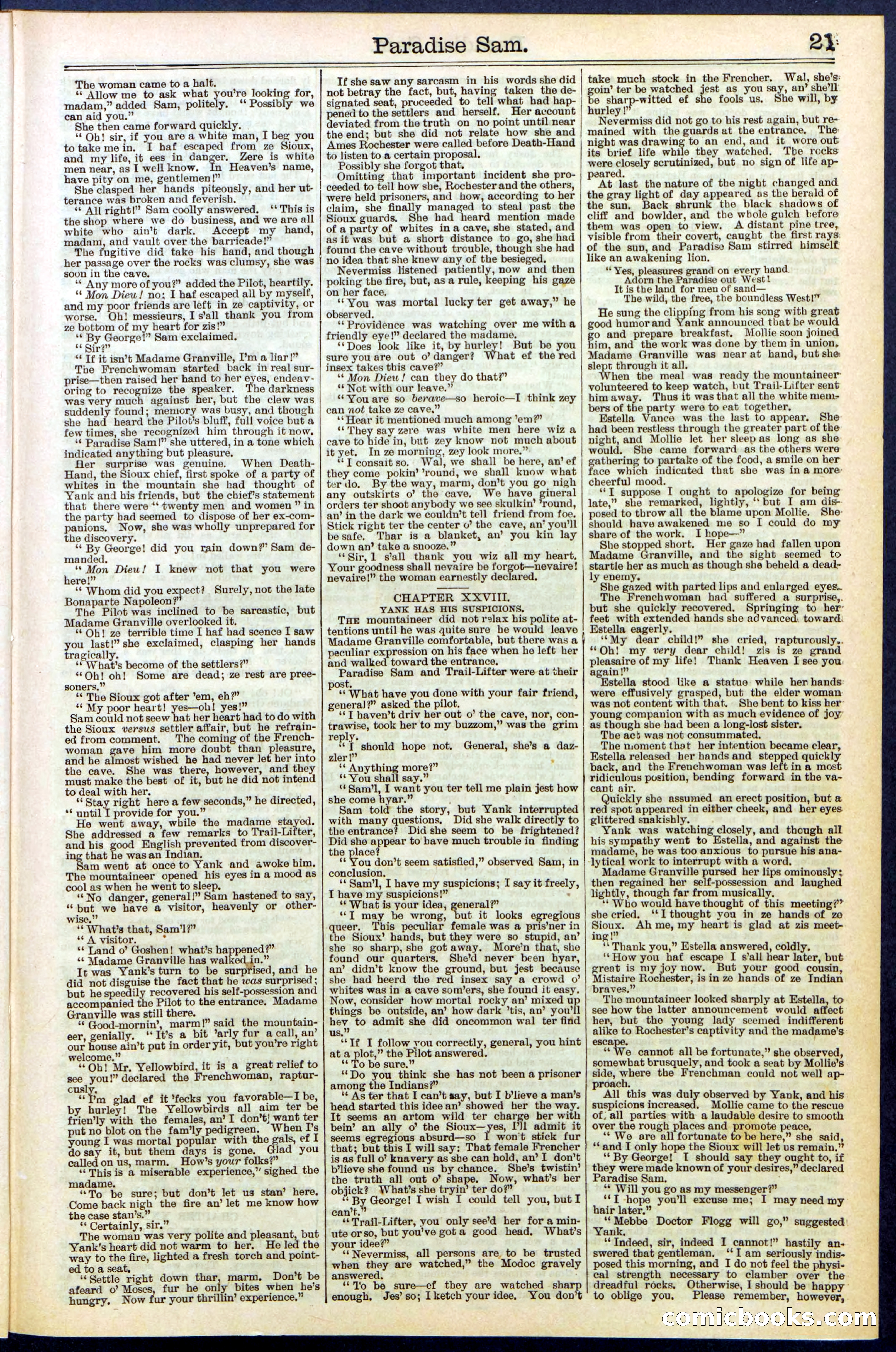 Beadle's New York Dime Library No. 521 — page 21 of 32