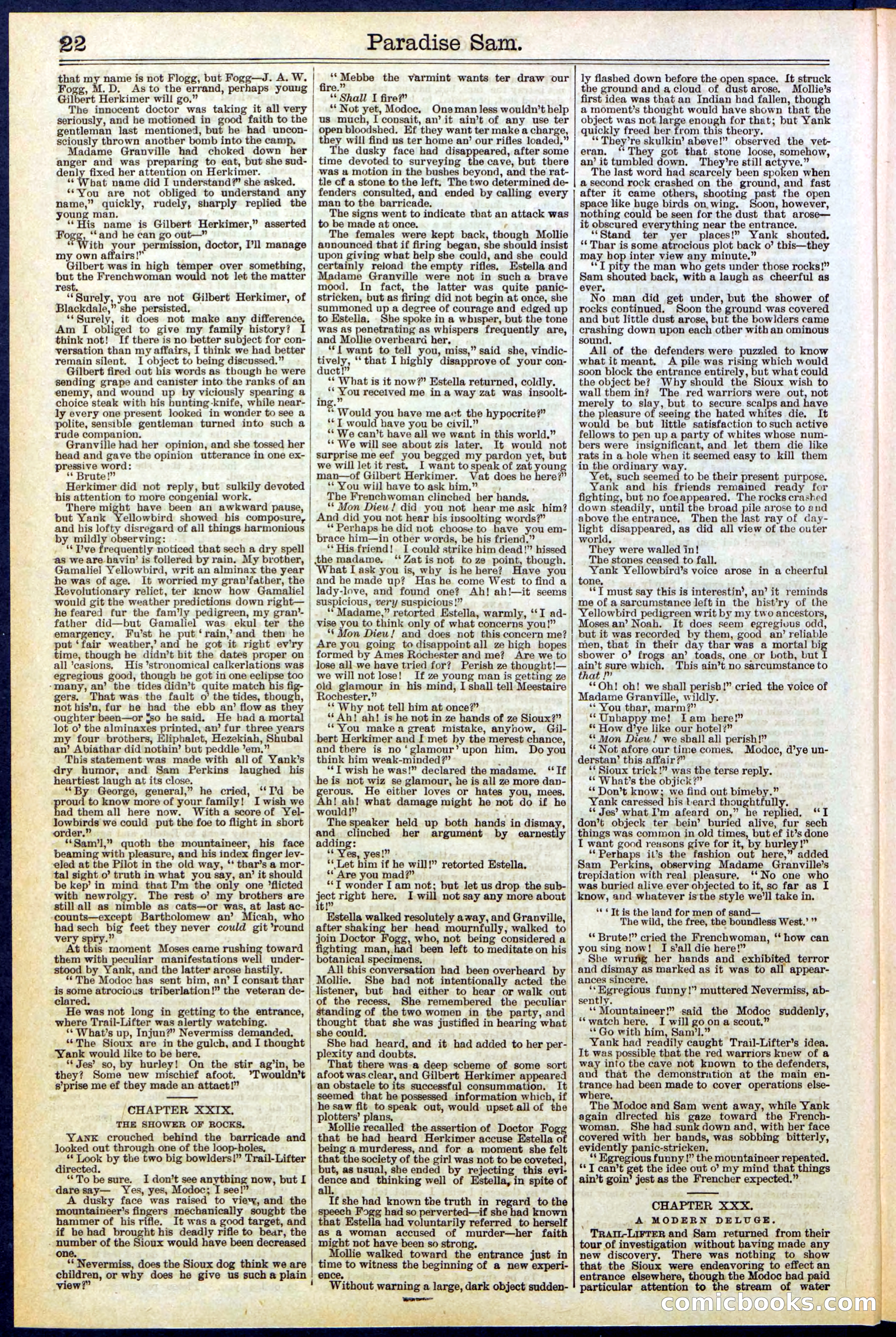 Beadle's New York Dime Library No. 521 — page 22 of 32