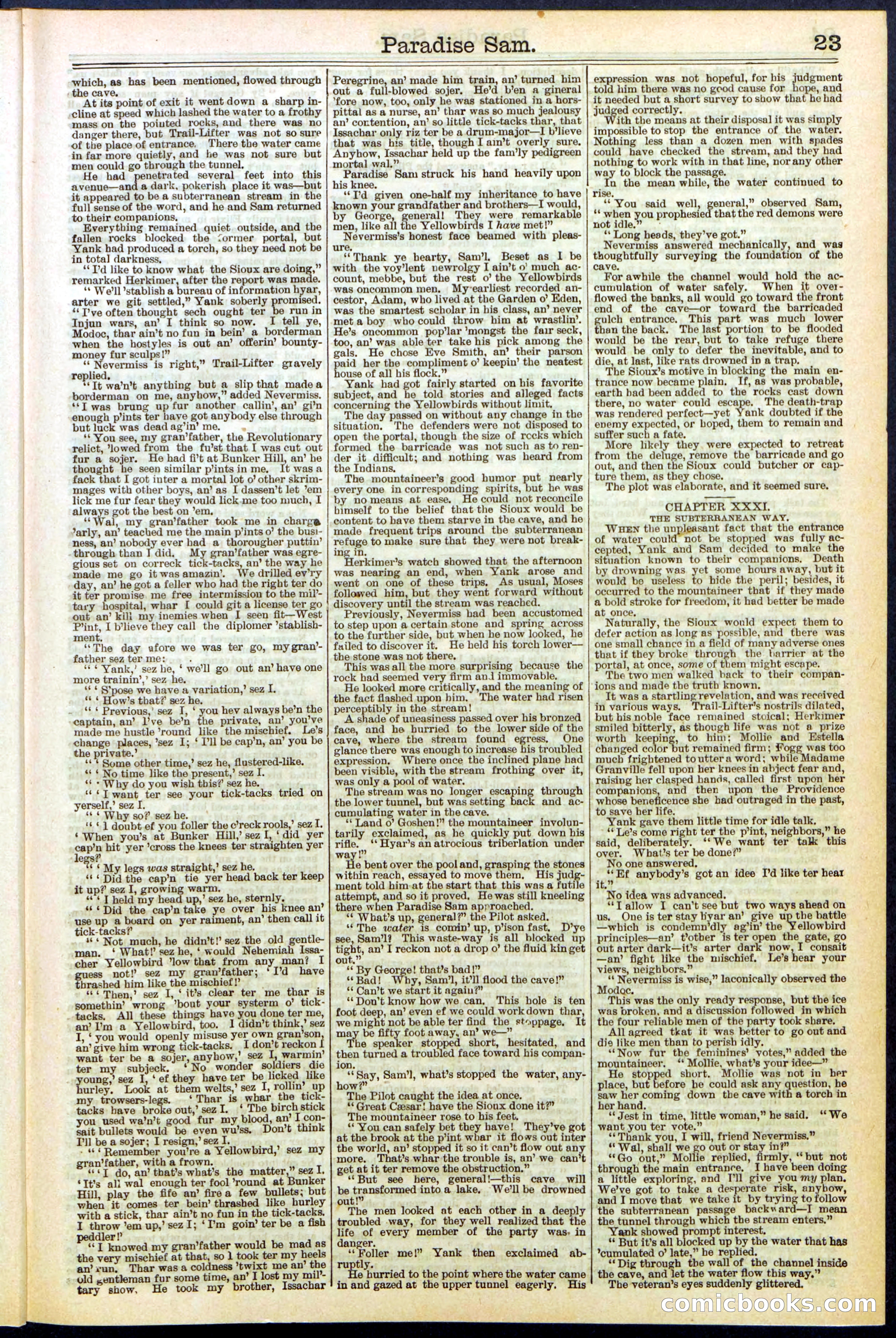 Beadle's New York Dime Library No. 521 — page 23 of 32