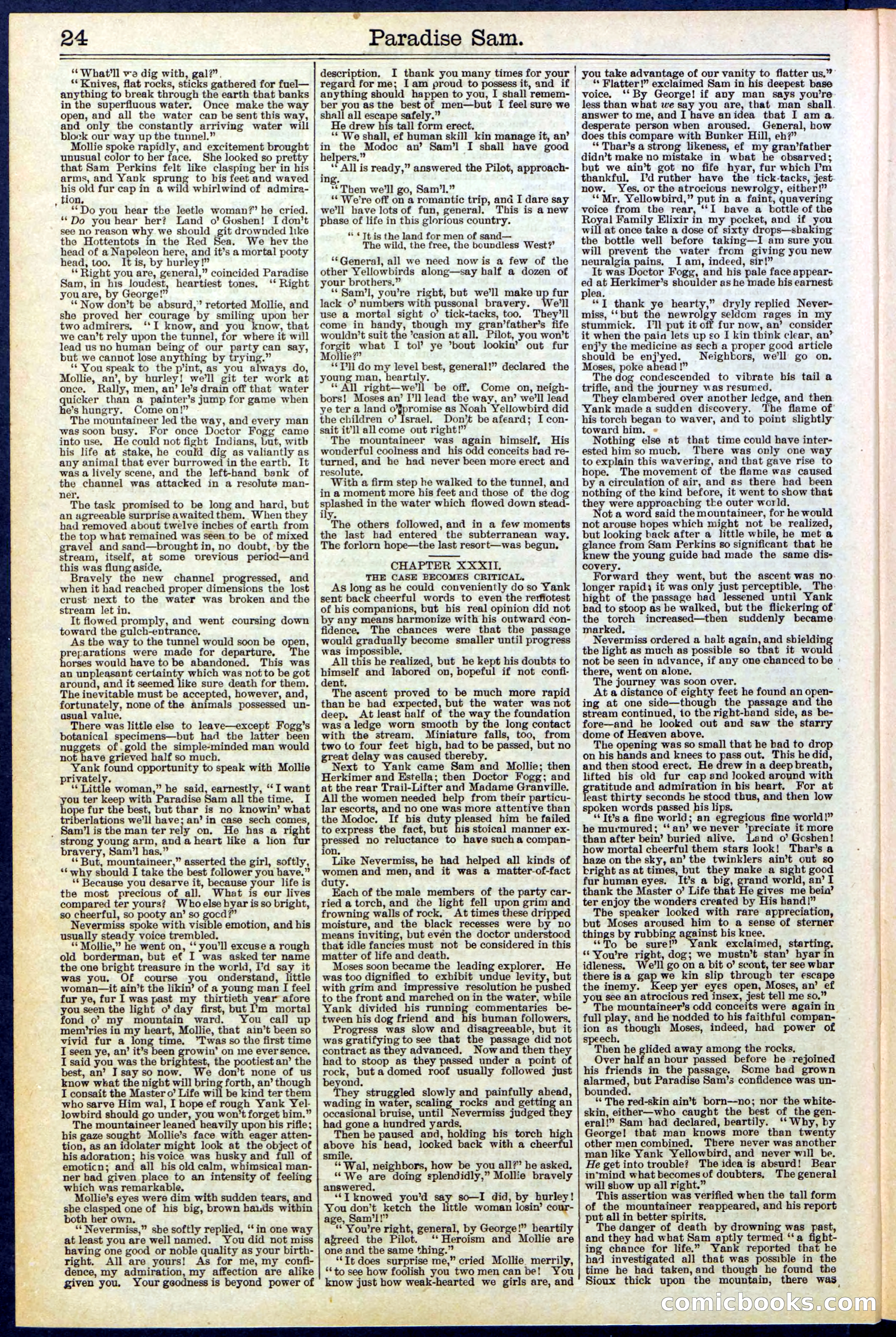 Beadle's New York Dime Library No. 521 — page 24 of 32