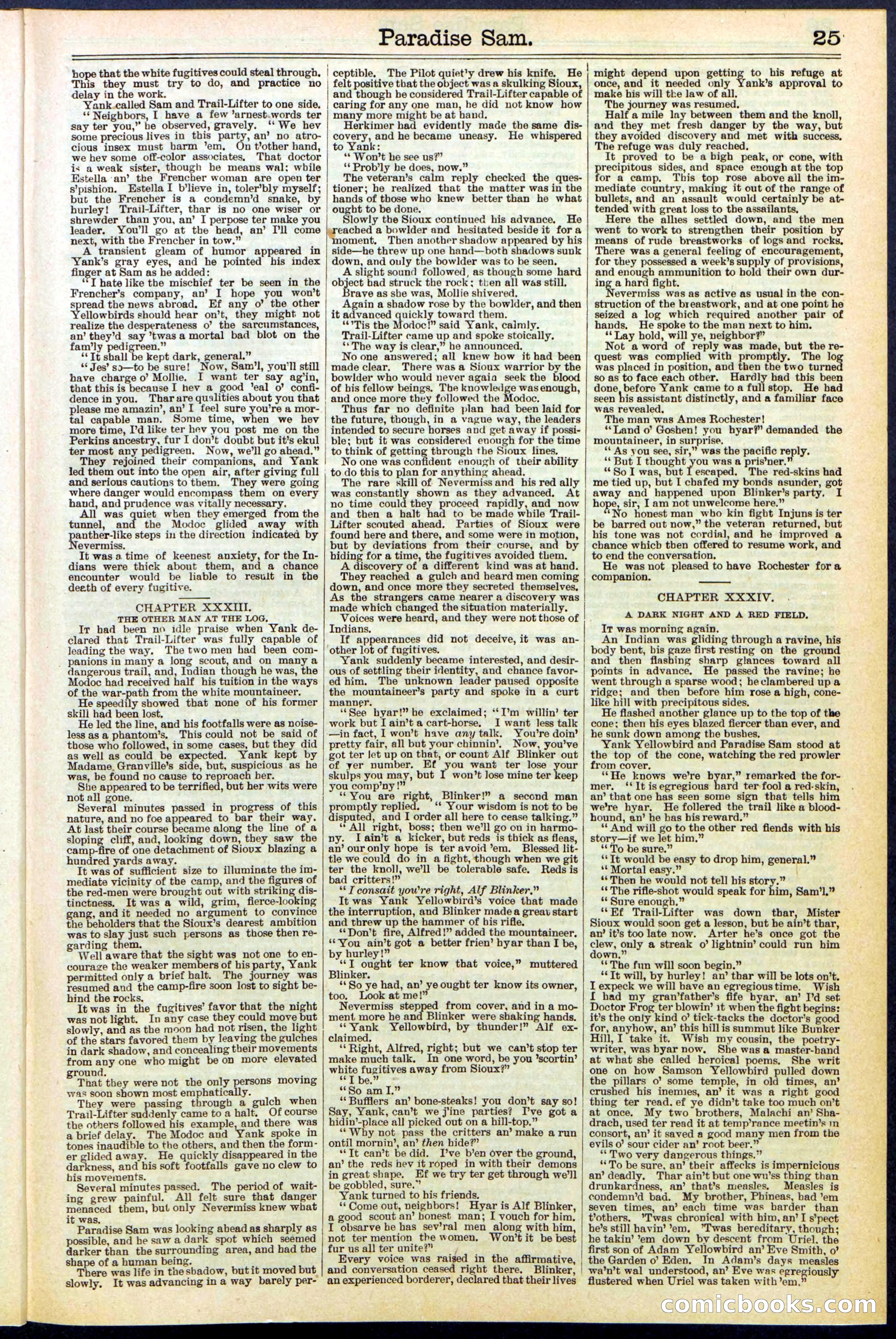 Beadle's New York Dime Library No. 521 — page 25 of 32