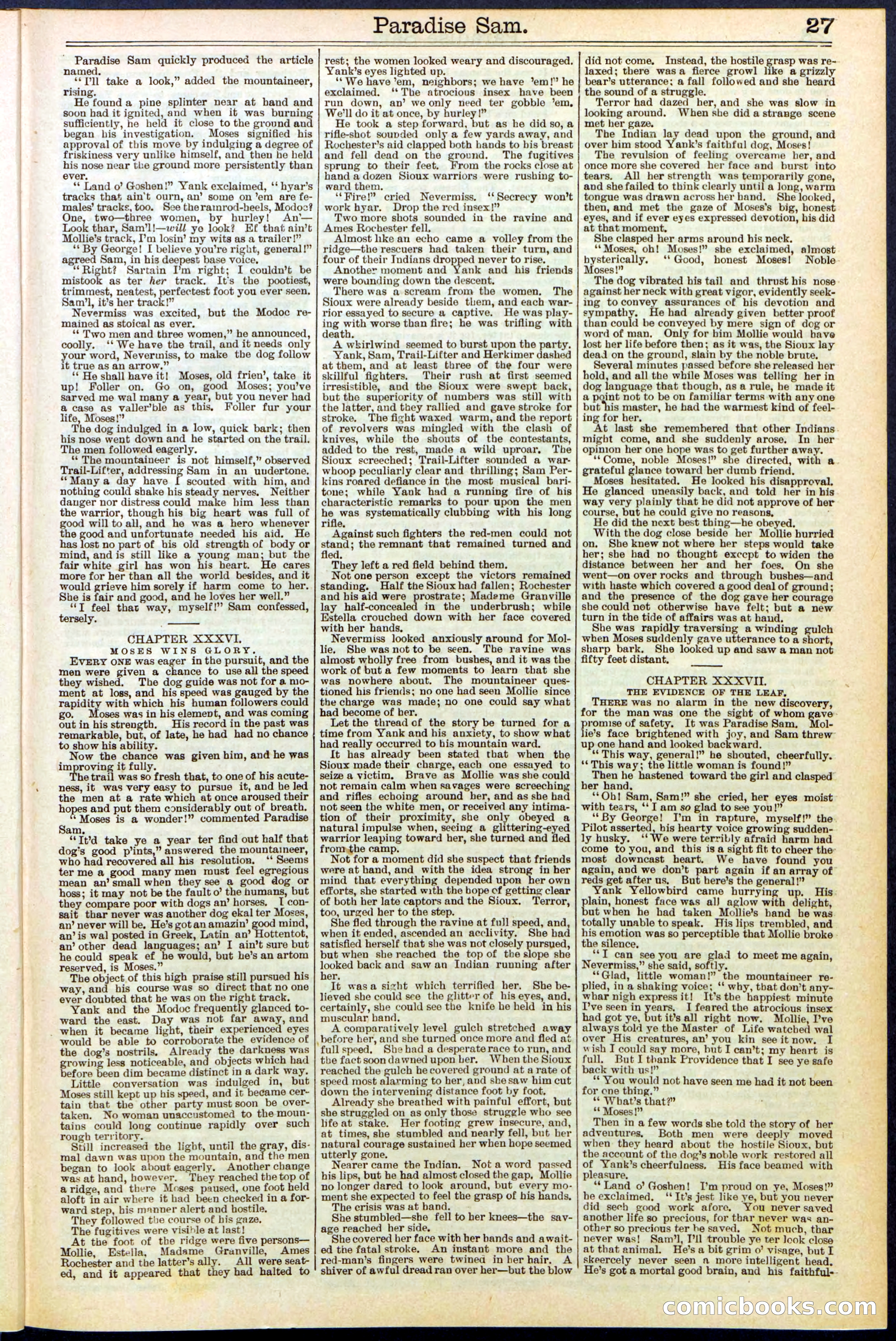 Beadle's New York Dime Library No. 521 — page 27 of 32