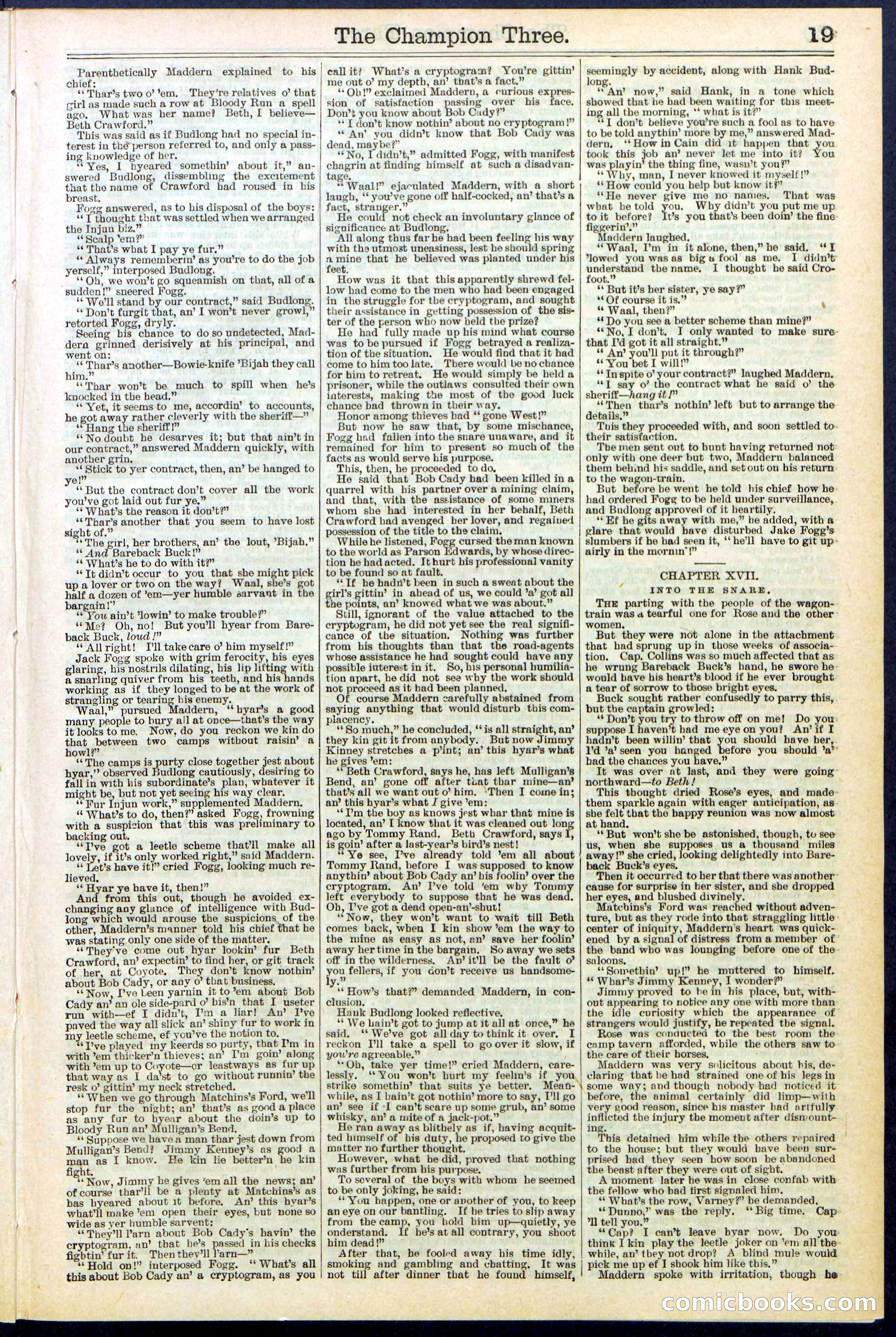 Beadle's Dime Library No. 522 — page 19 of 32
