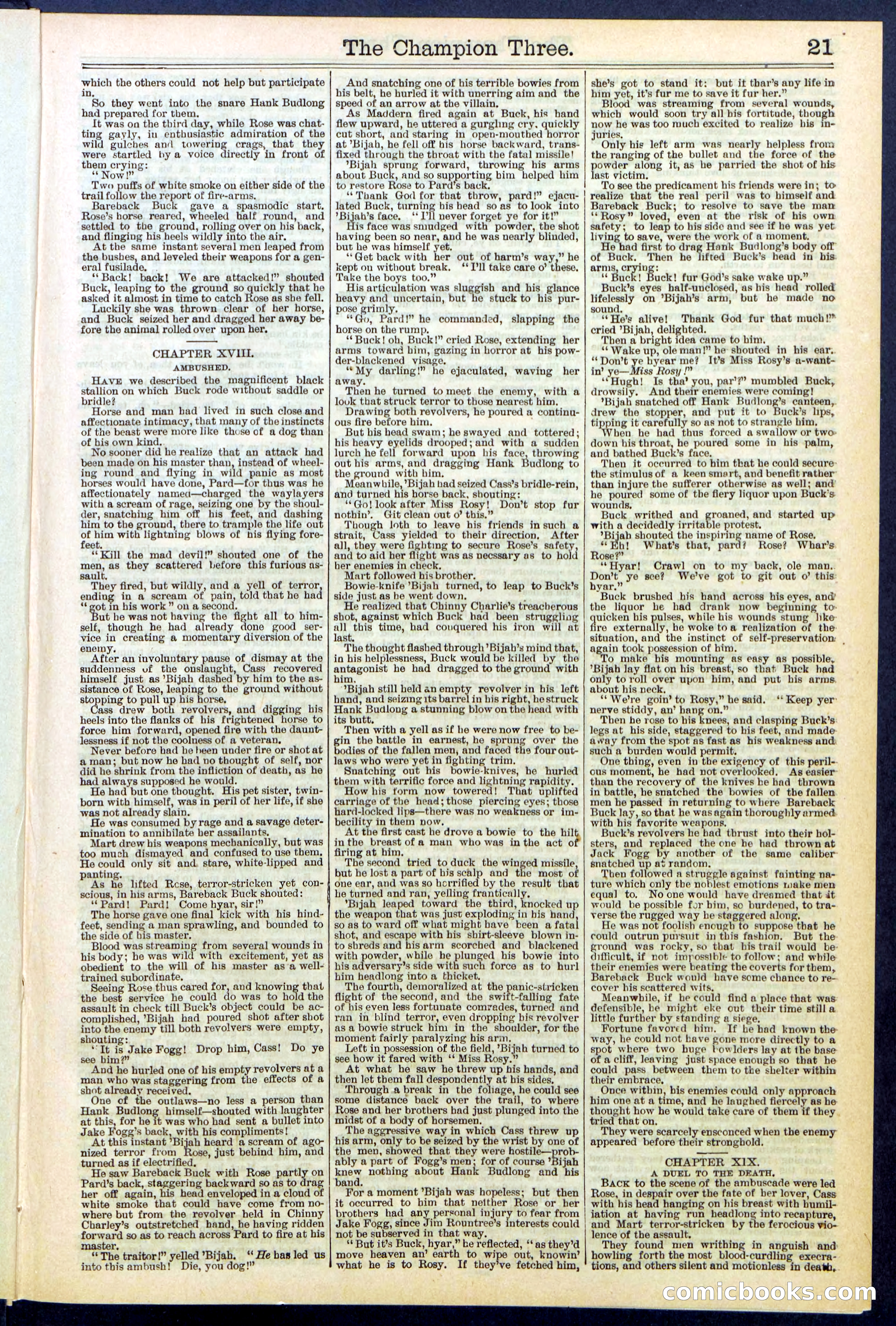 Beadle's Dime Library No. 522 — page 21 of 32