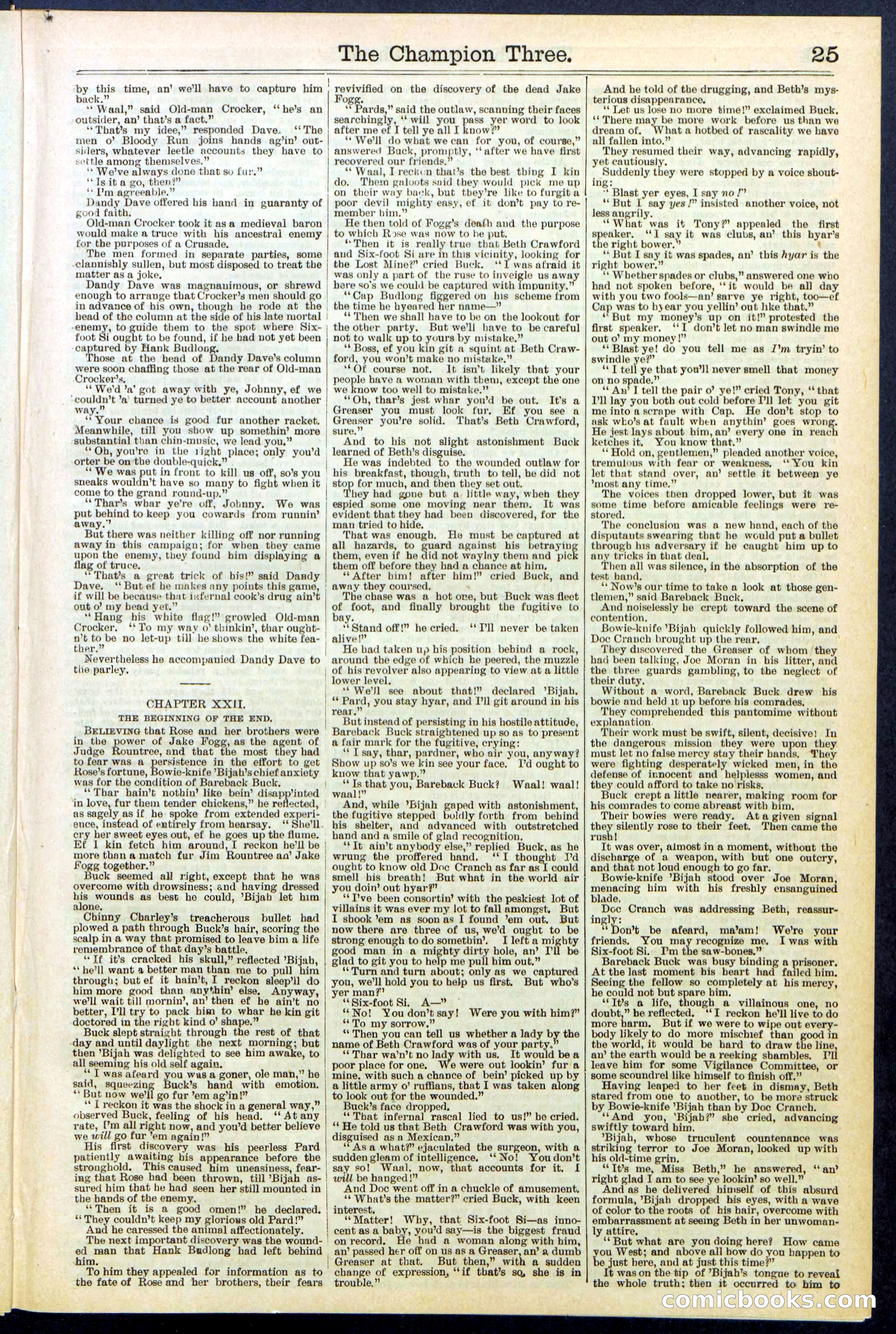 Beadle's Dime Library No. 522 — page 25 of 32