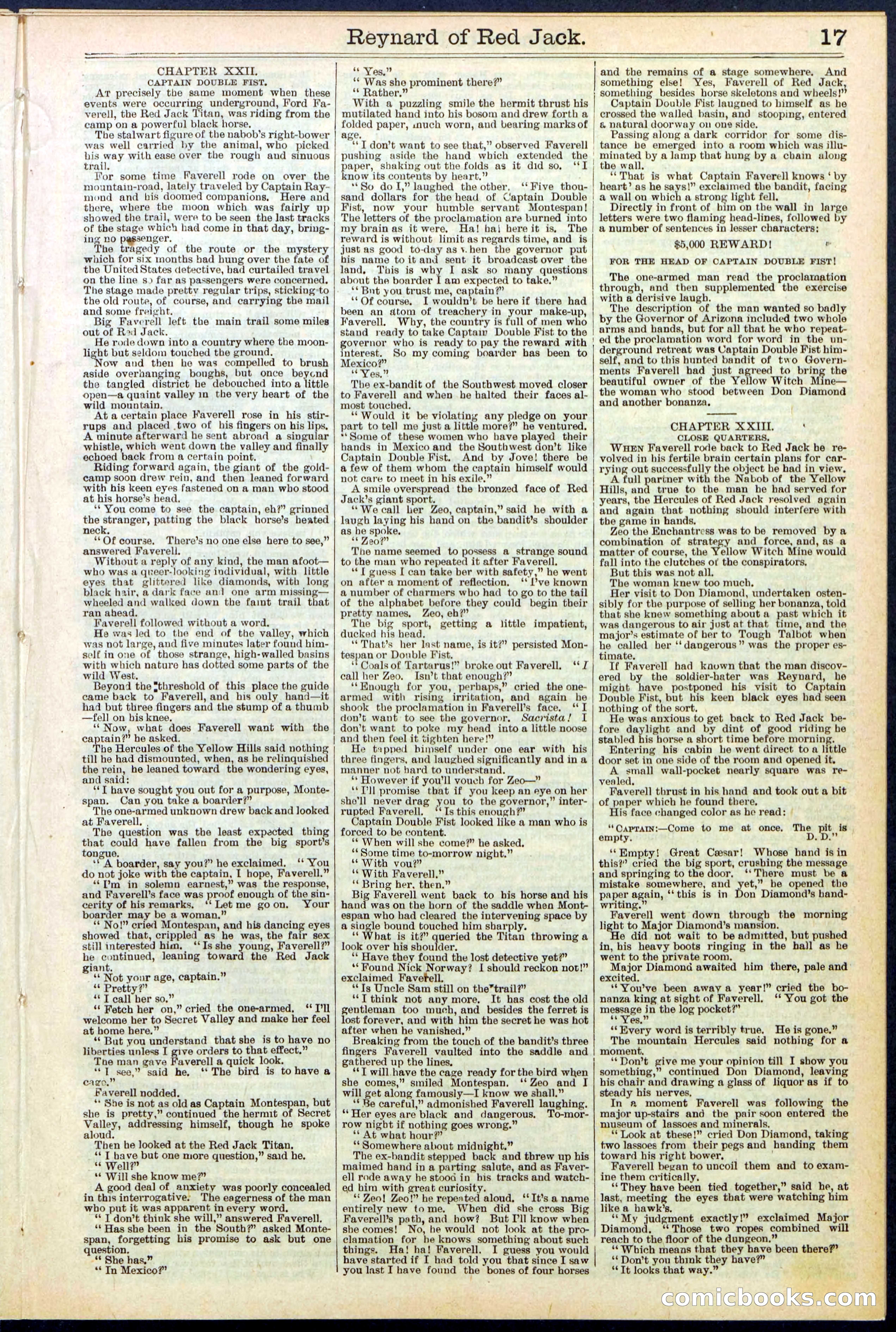 Beadle's New York Dime Library No. 523 — page 17 of 32